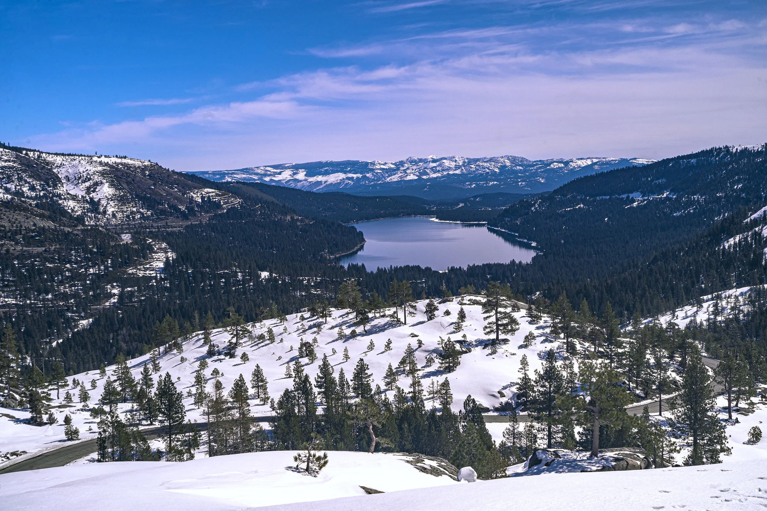 _ECH0029 Website.jpg