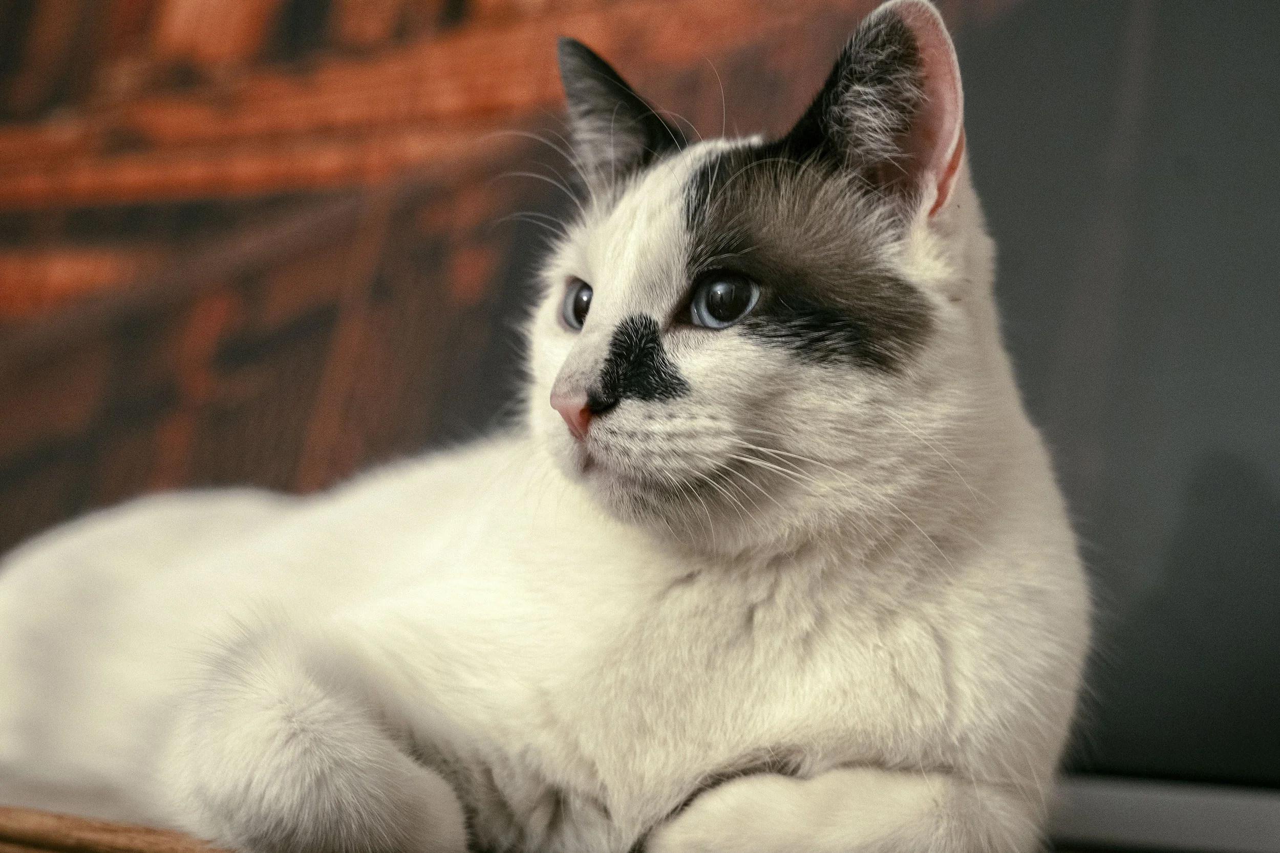 ECH03035 Website.jpg