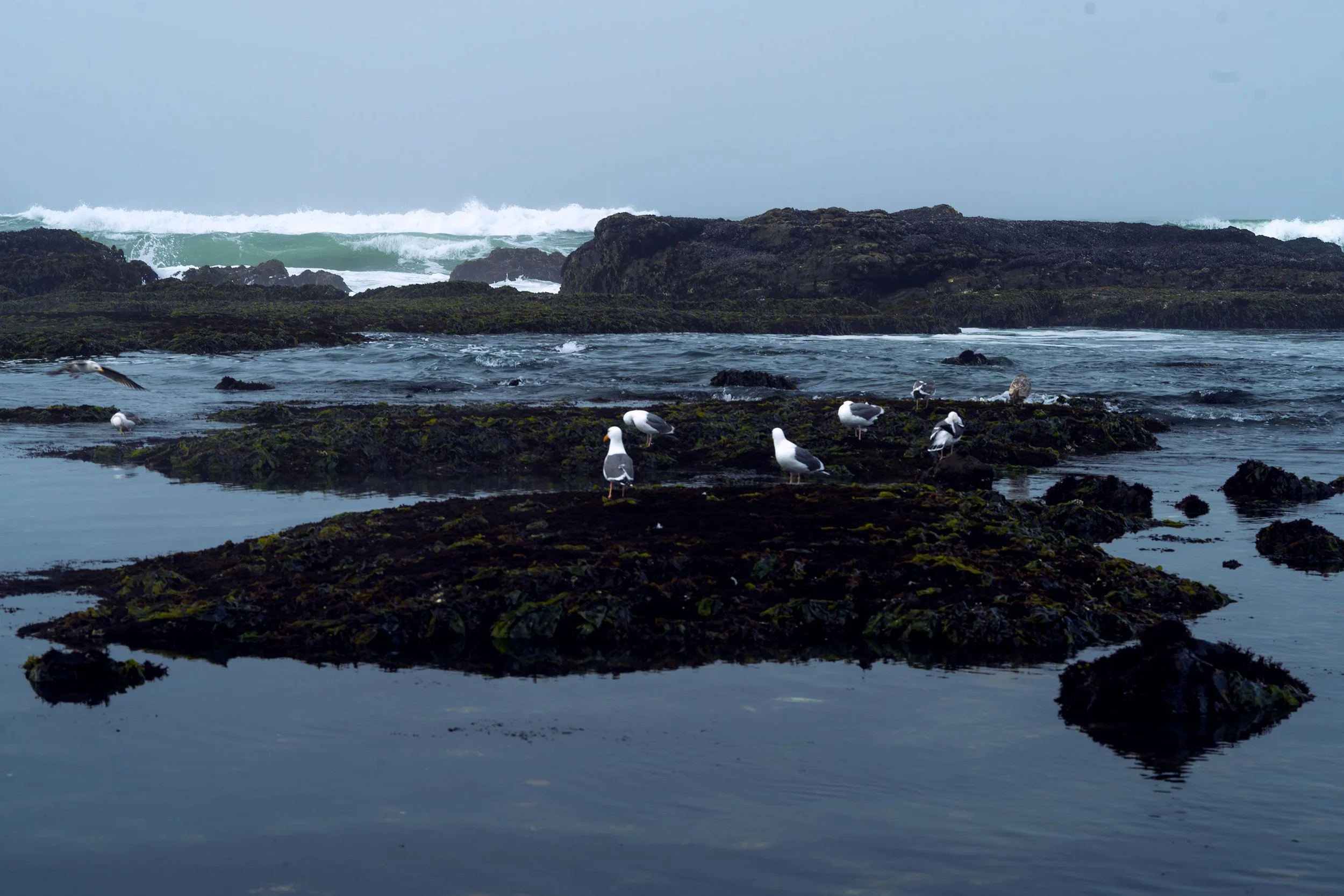 _ECH5997 Website.jpg