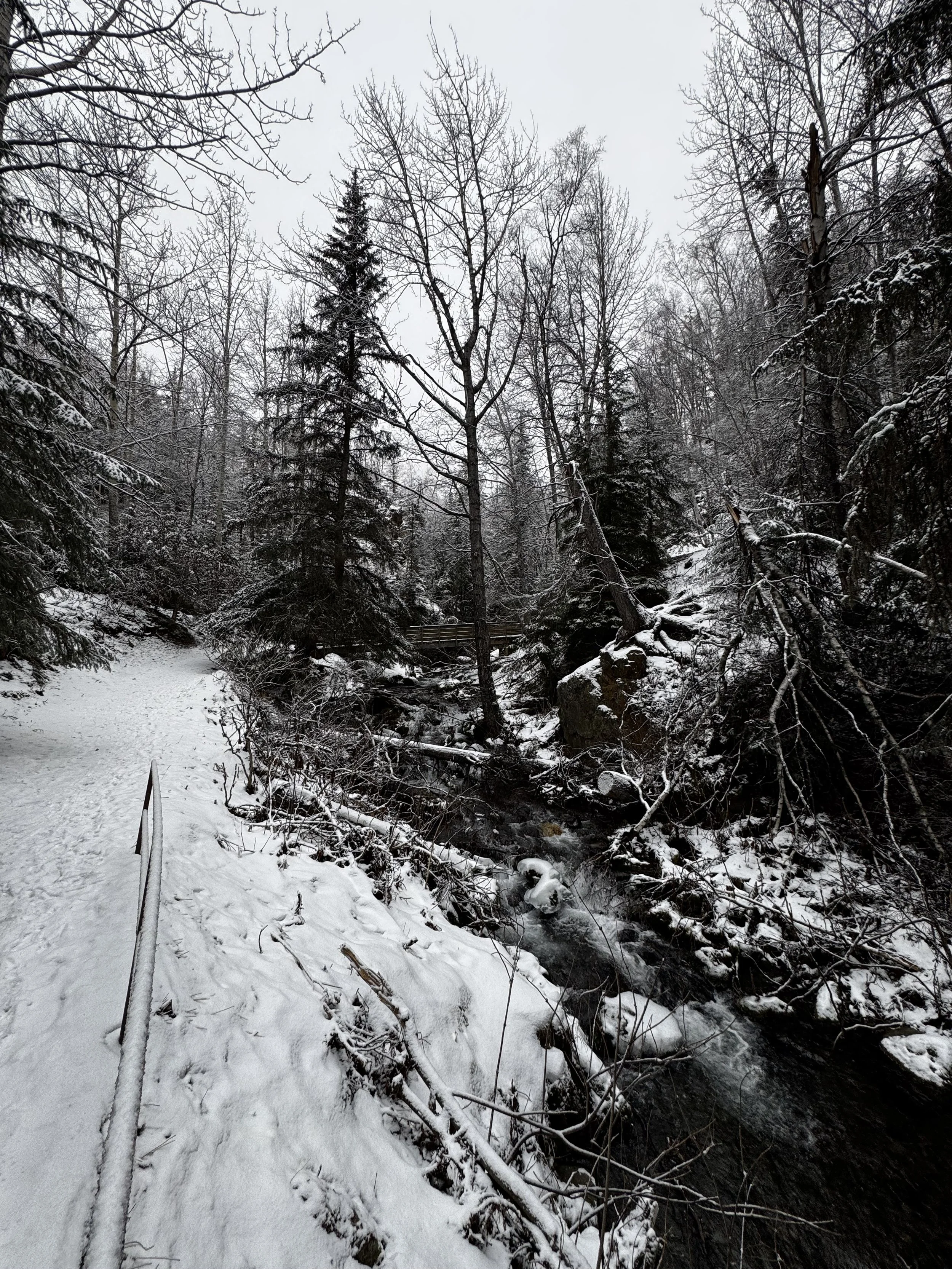 One Very Confident Pornstache
