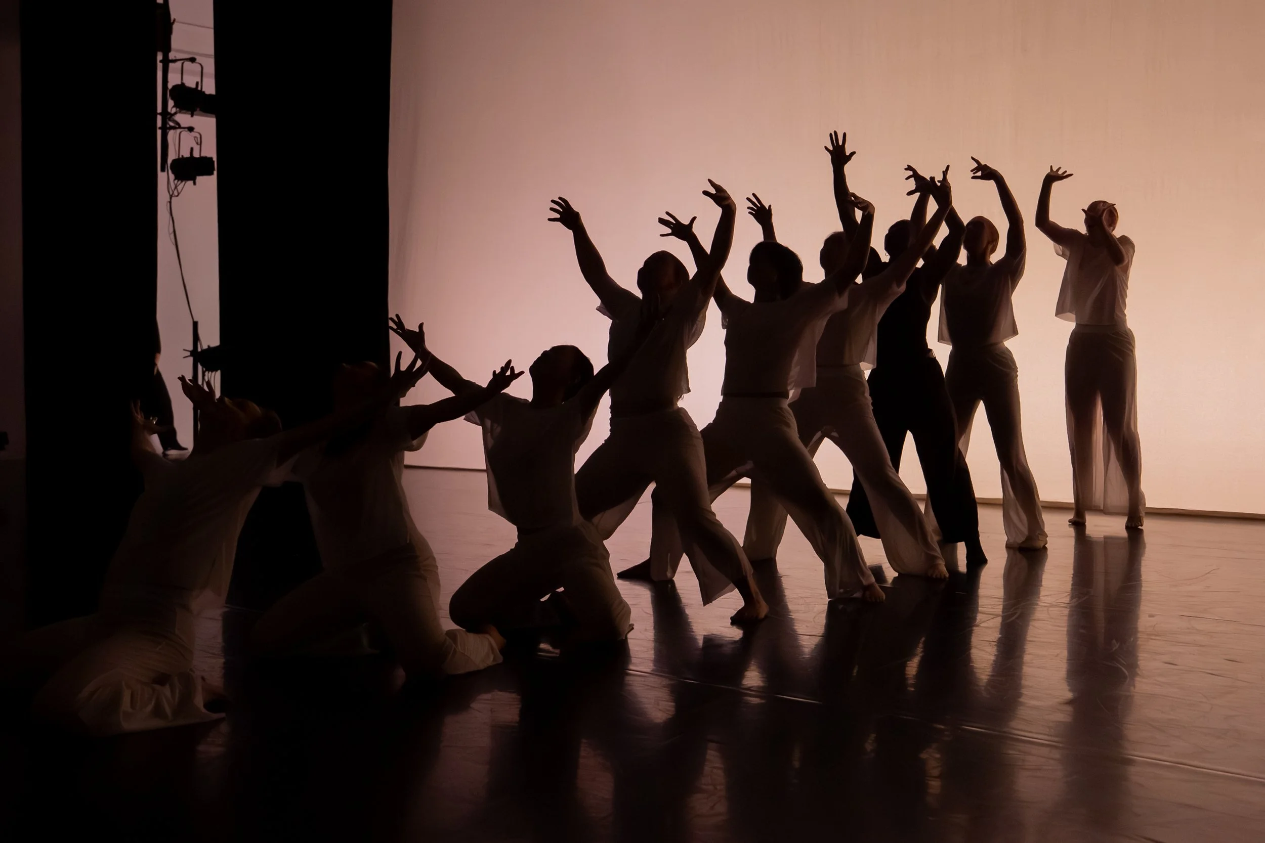 Dumbo Dance Fest.jpg