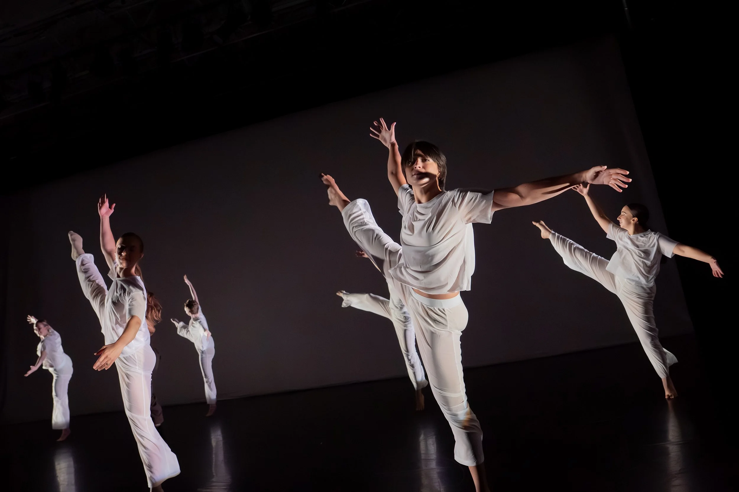 Dumbo Dance 4.jpg