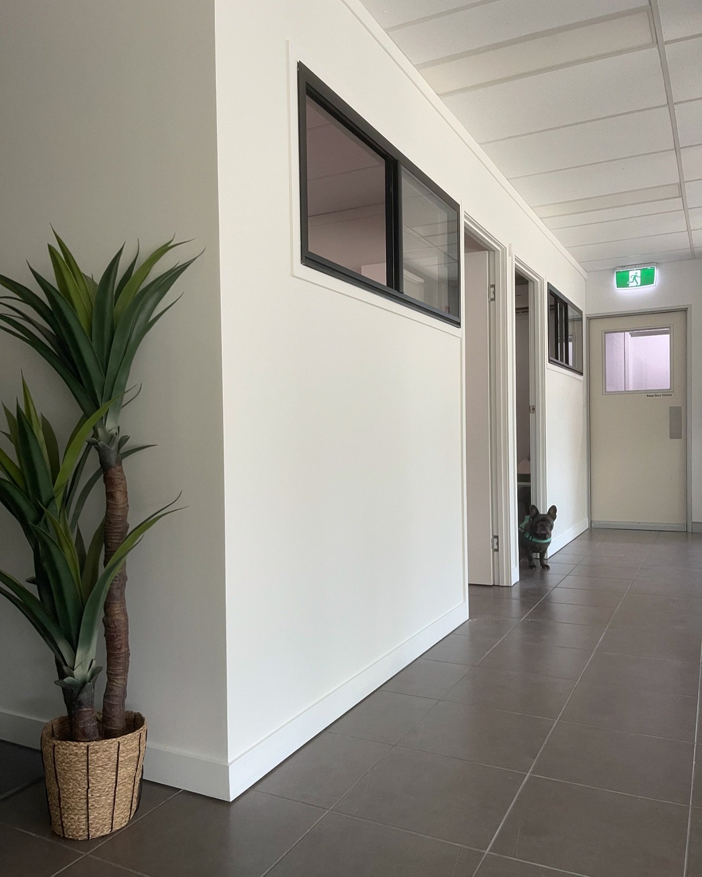 New views&hellip; my renovations have been finished so you&rsquo;ll be welcomed into a new space from tomorrow! I&rsquo;m excited to see the space grow and change with some small additions in the next few weeks. Can&rsquo;t wait for you all to see it