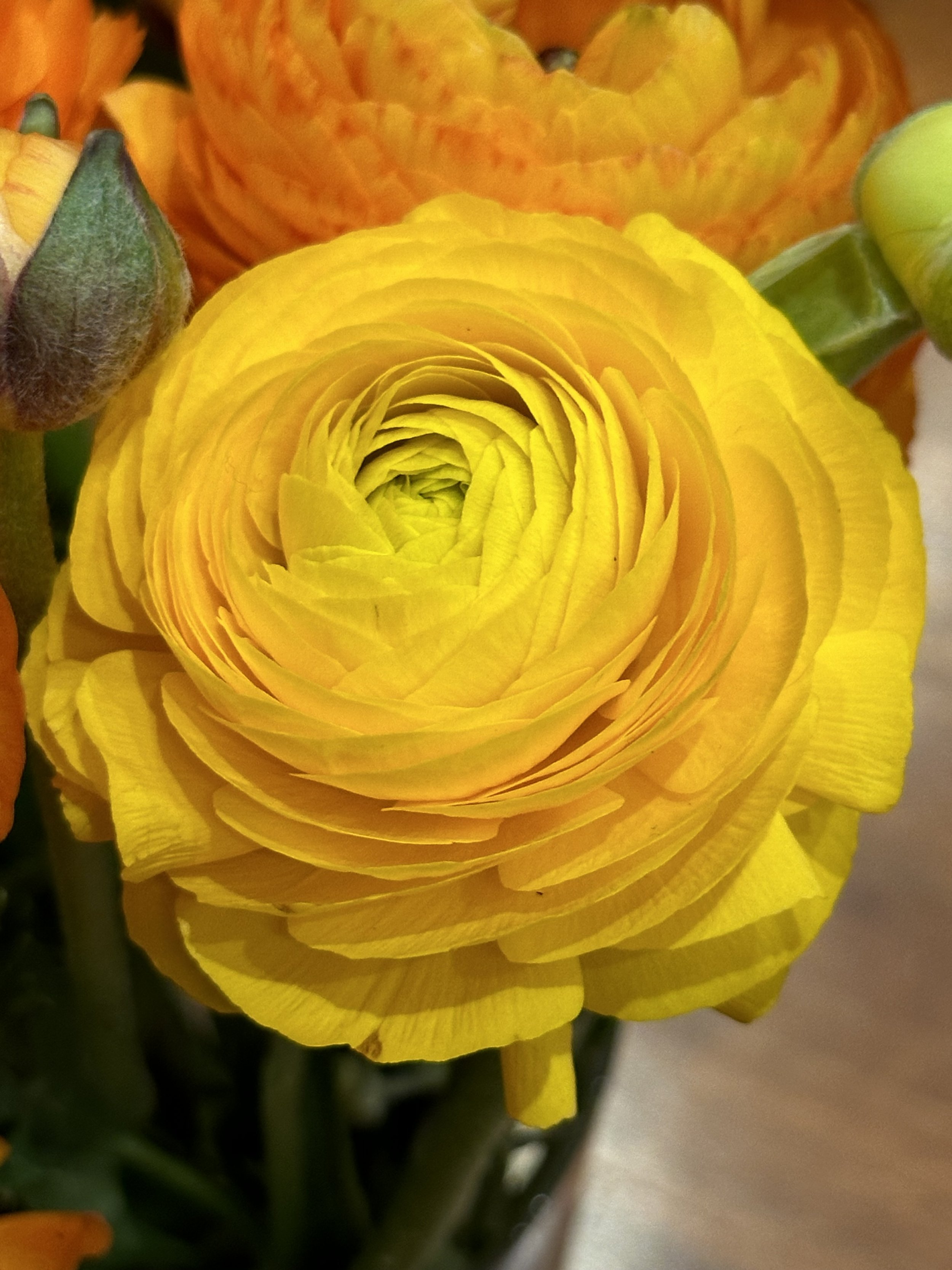 IMG_3547.jpeg