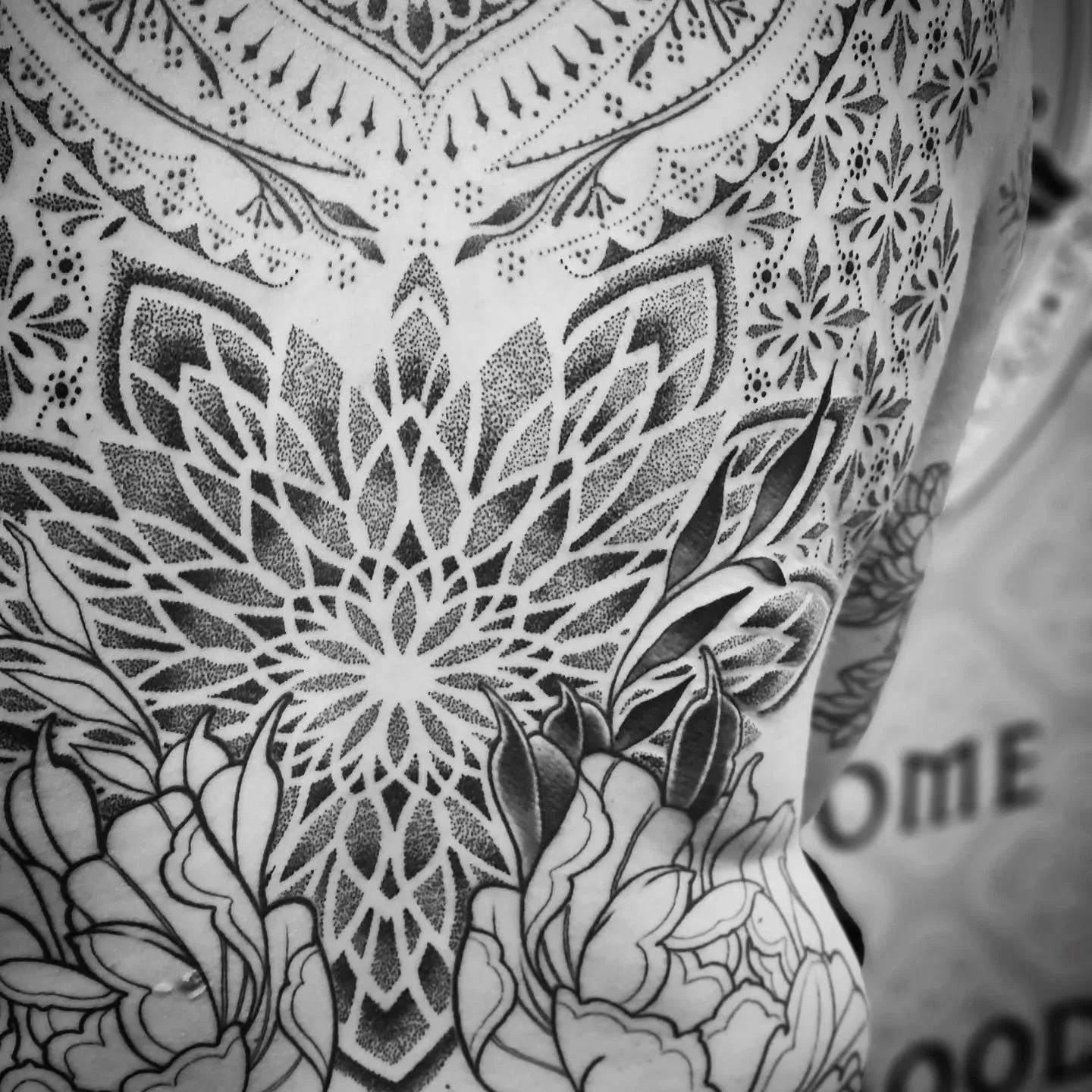 Progress with Autumn Hayley this week.