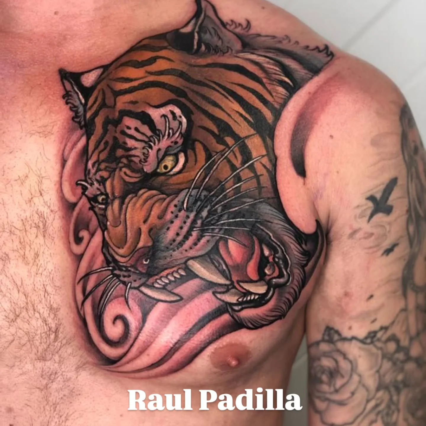 @_thelineandtheshade_ 
Secure your booking with Raul.

Like, share &amp; contact us for your next tattoo project or drop by for a chat and to look at our flash collections and portfolios. 

#tigertattoodesign 
#chesttattoos 
#wildewoodtattoostudio 
#