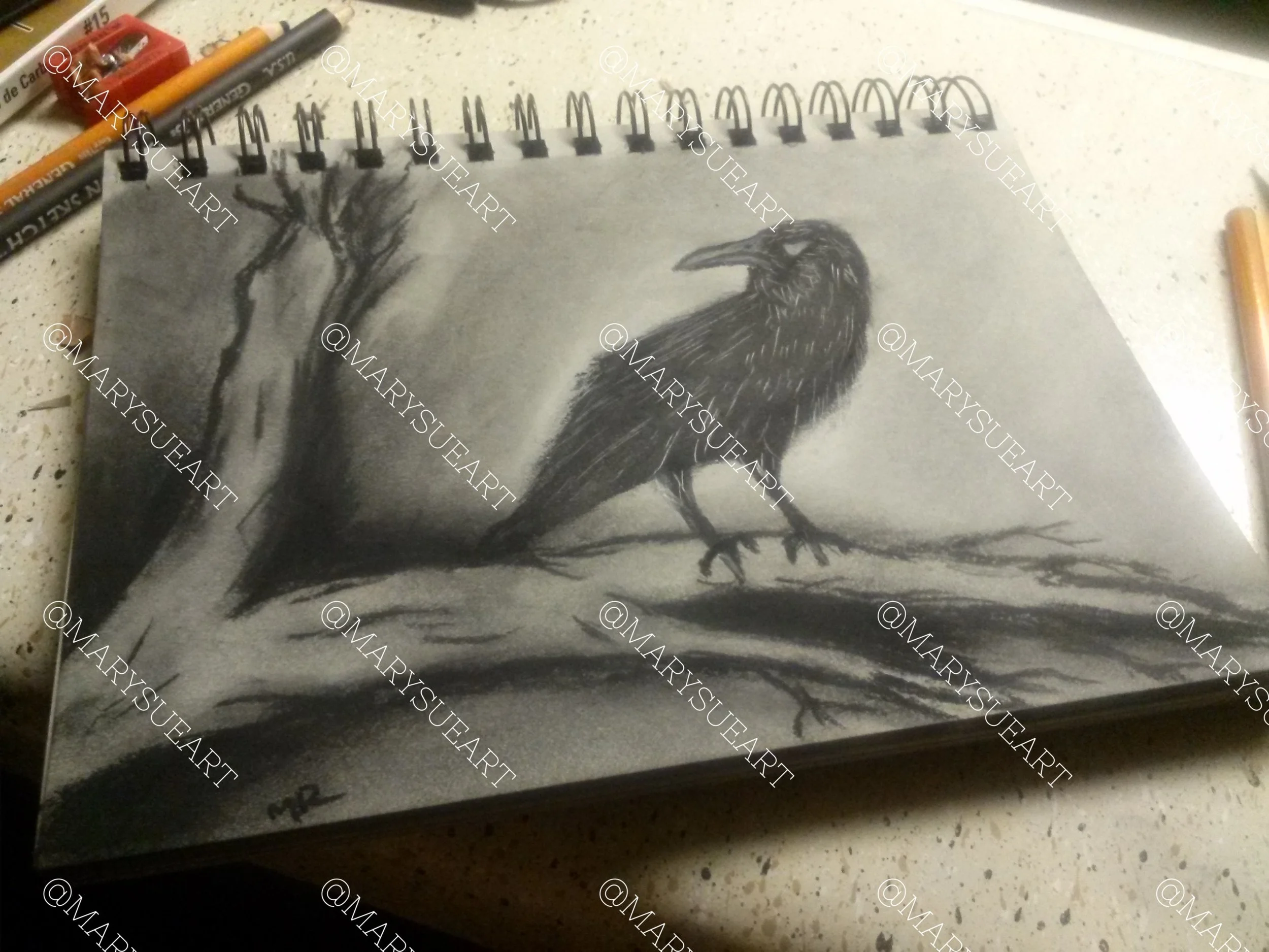 PM-RAVENBRANCH-CHARCOAL.jpg