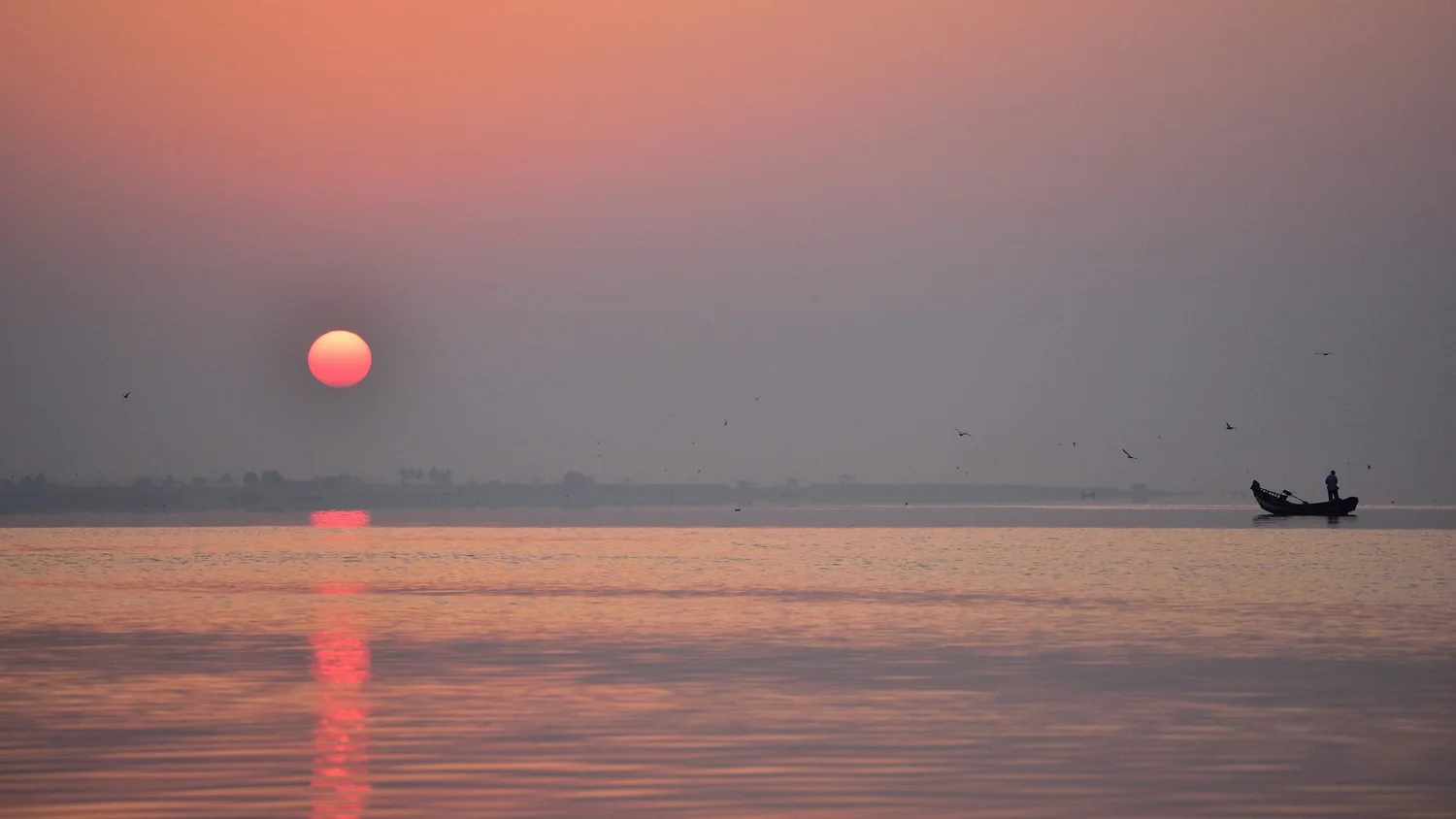 Hard Light vs. Soft Light in Photography: Understanding the Difference ...