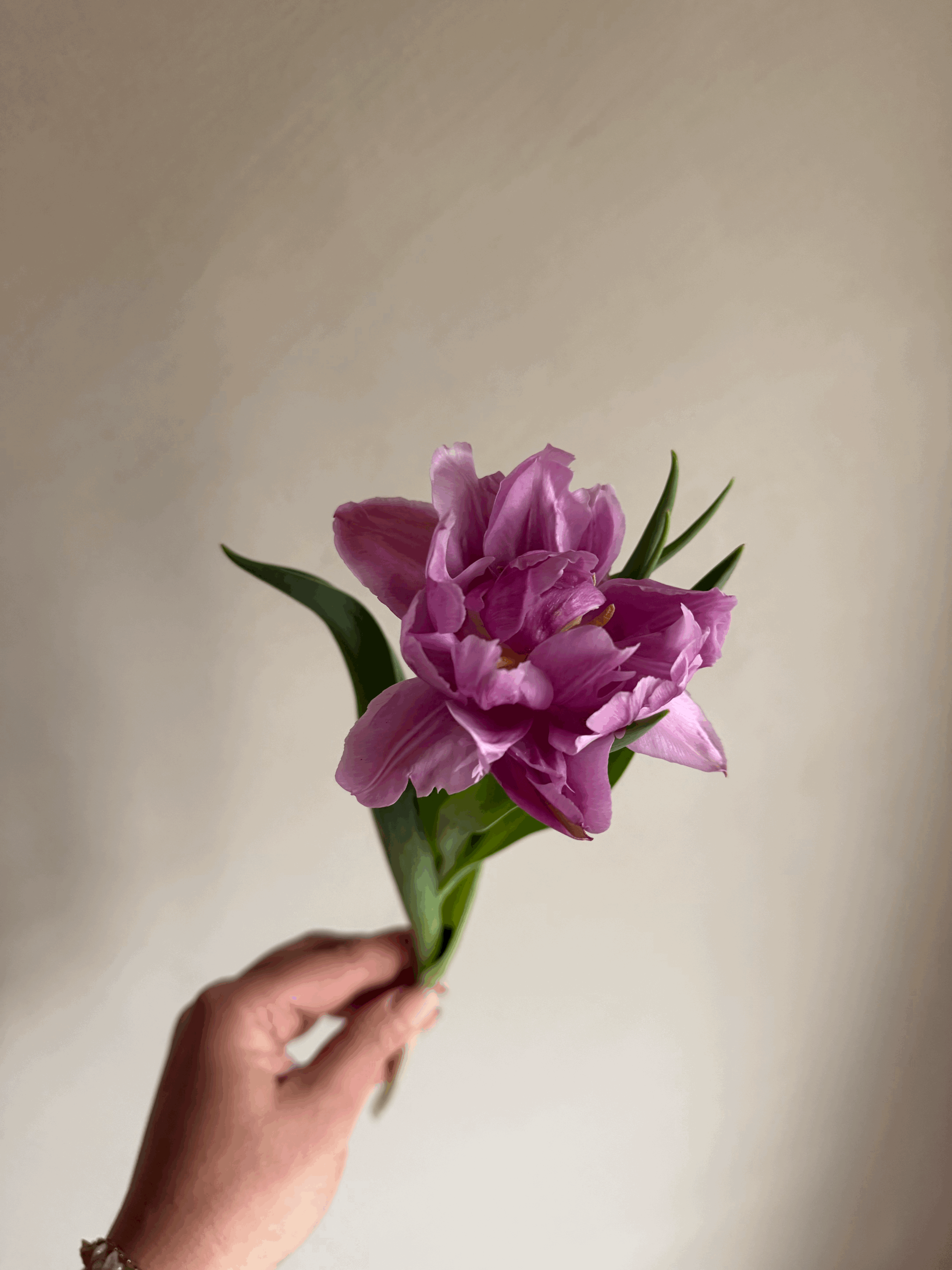 tempImageHatqKL.gif