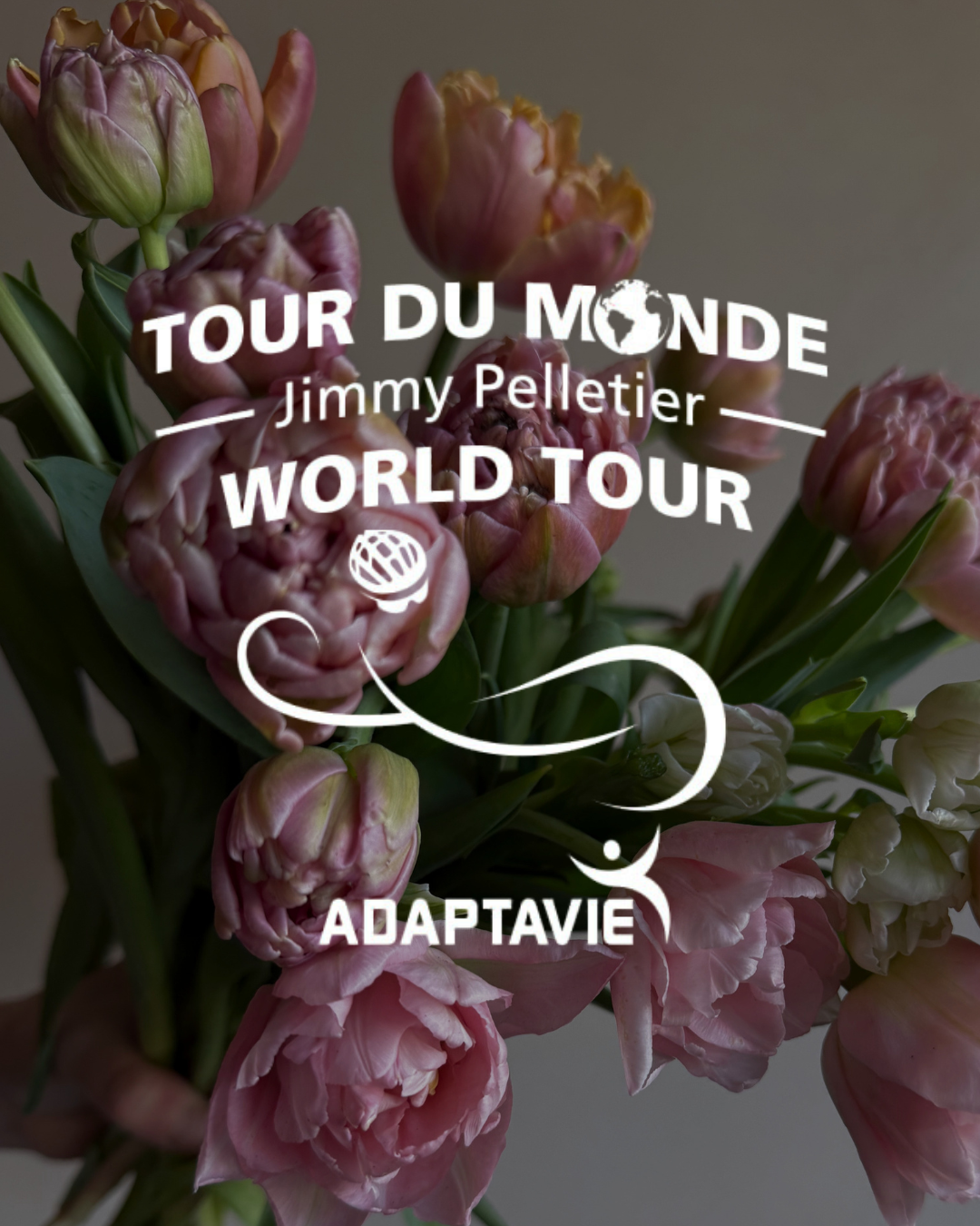 Copie de Fête des mères.png