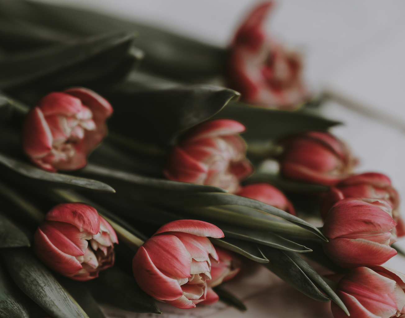 Capture d’écran, le 2023-02-13 à 11.46.54.png