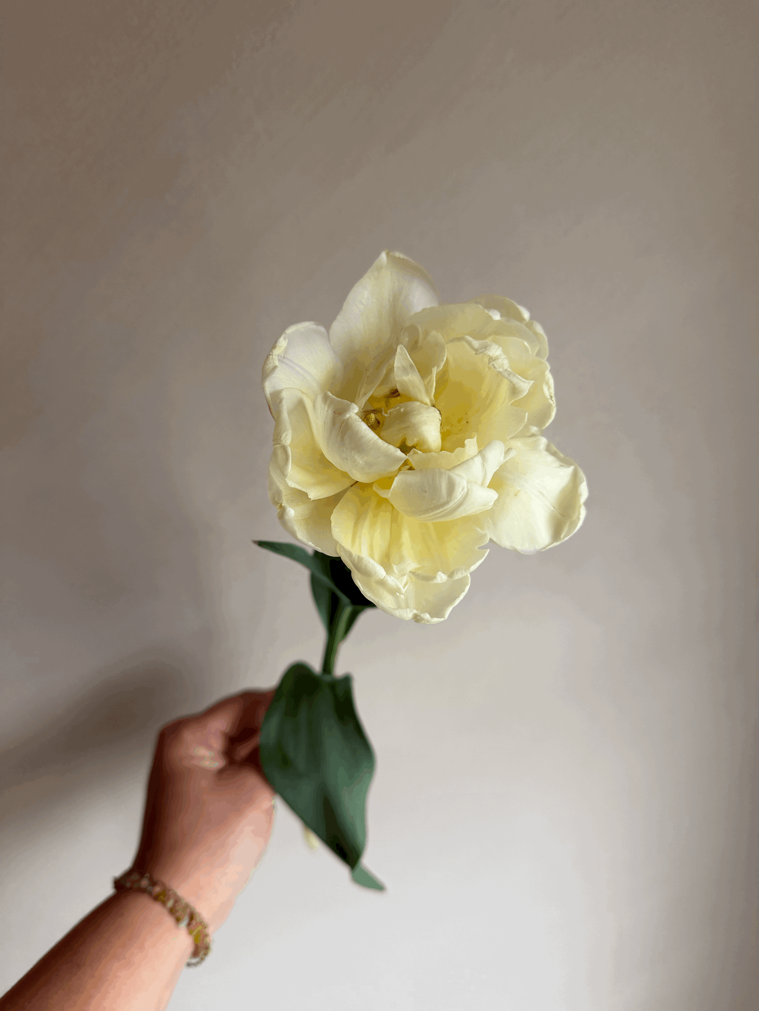 tempImage8qtmpK.gif
