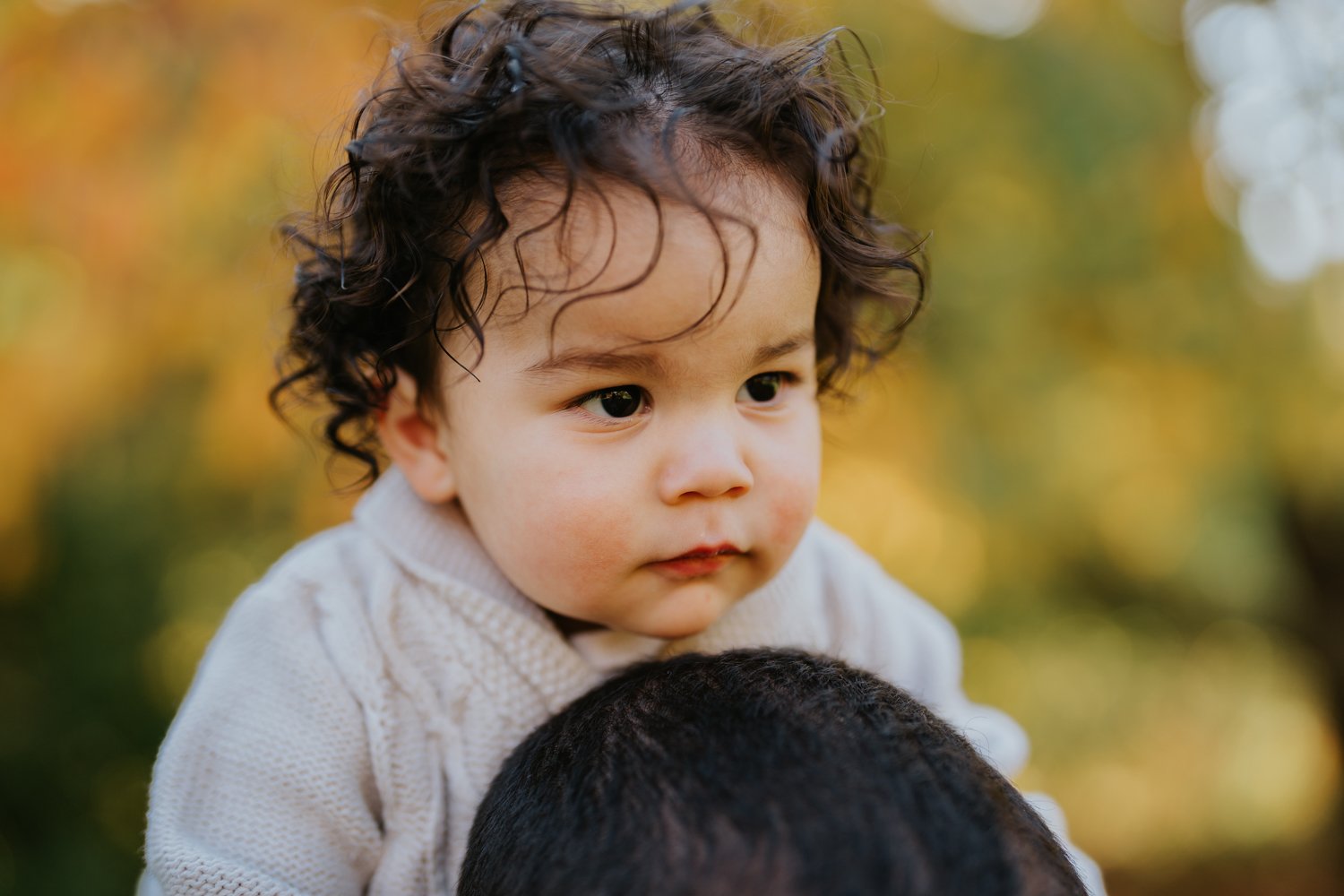 boston arnold arboretum family session.JPG