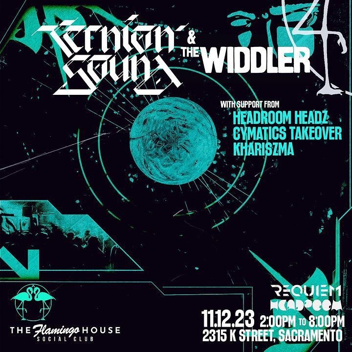20231112 Ternion Sound x The Widdler in Sac.jpg
