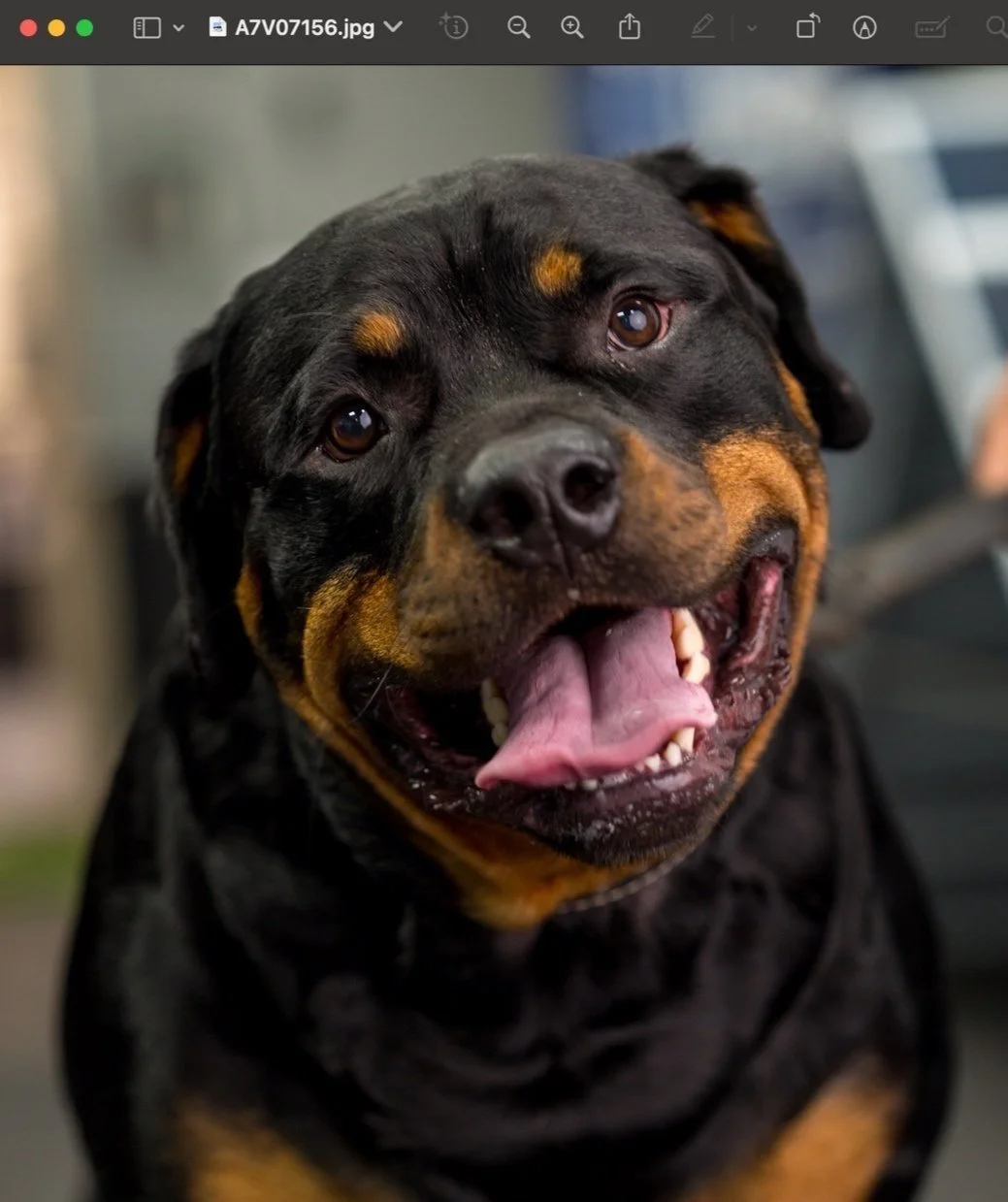 Screenshot 2023-11-30 at 6.33.45 AM.jpg