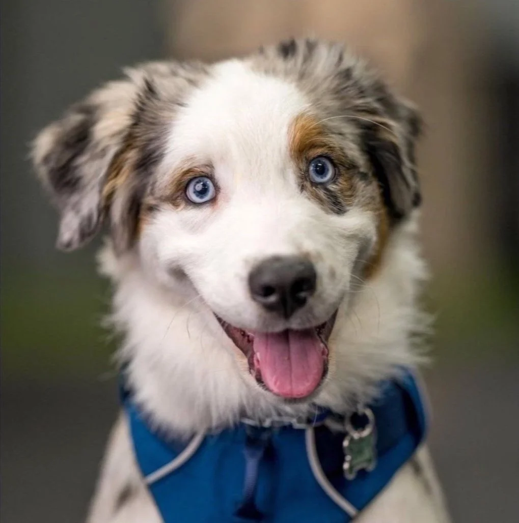 Screenshot 2023-11-28 at 12.45.53 AM.jpg