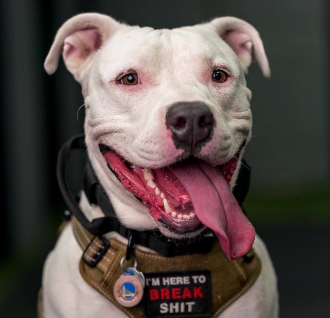 Screenshot 2023-11-28 at 12.47.11 AM.jpg