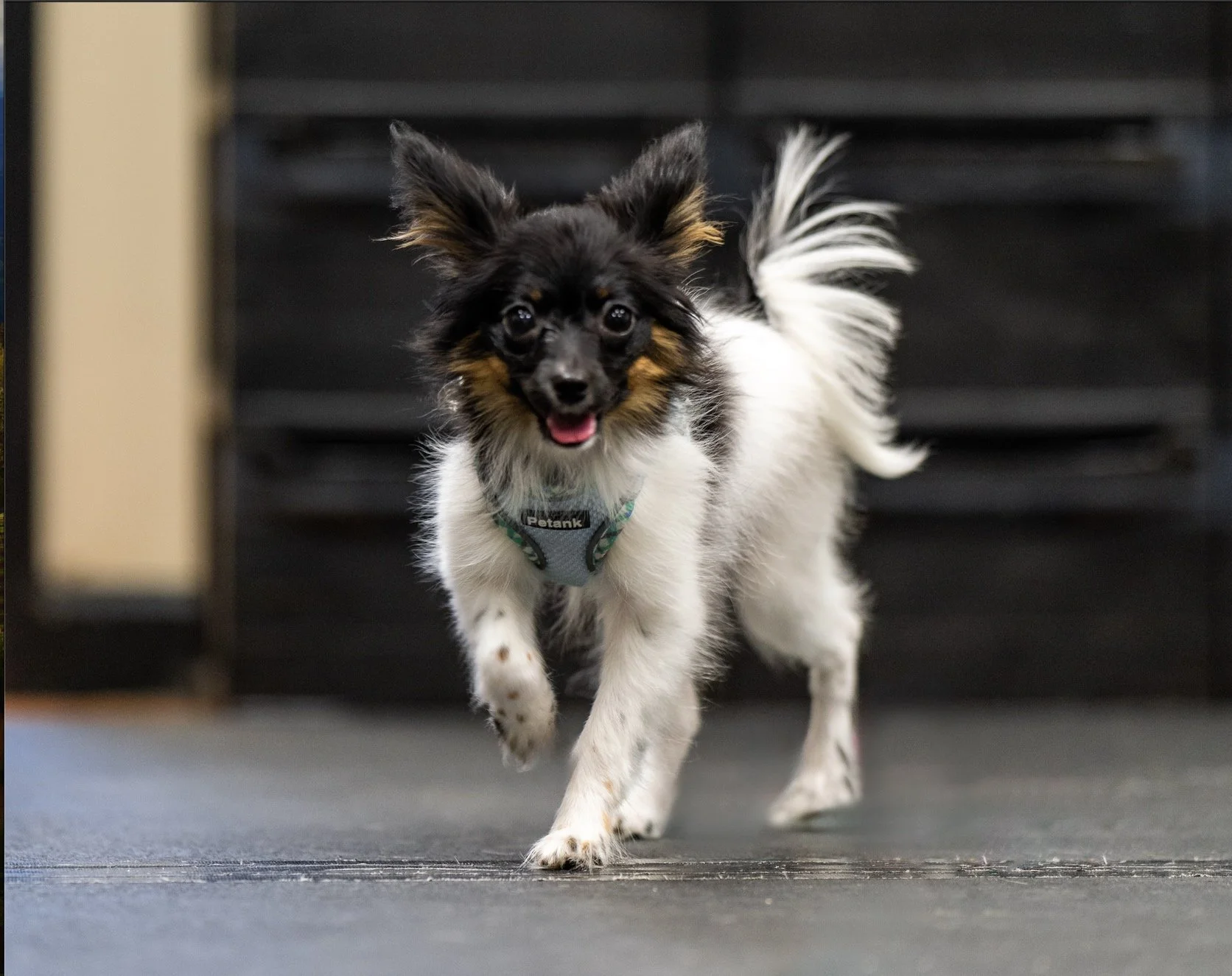 Screenshot 2023-12-01 at 12.35.18 AM.jpg