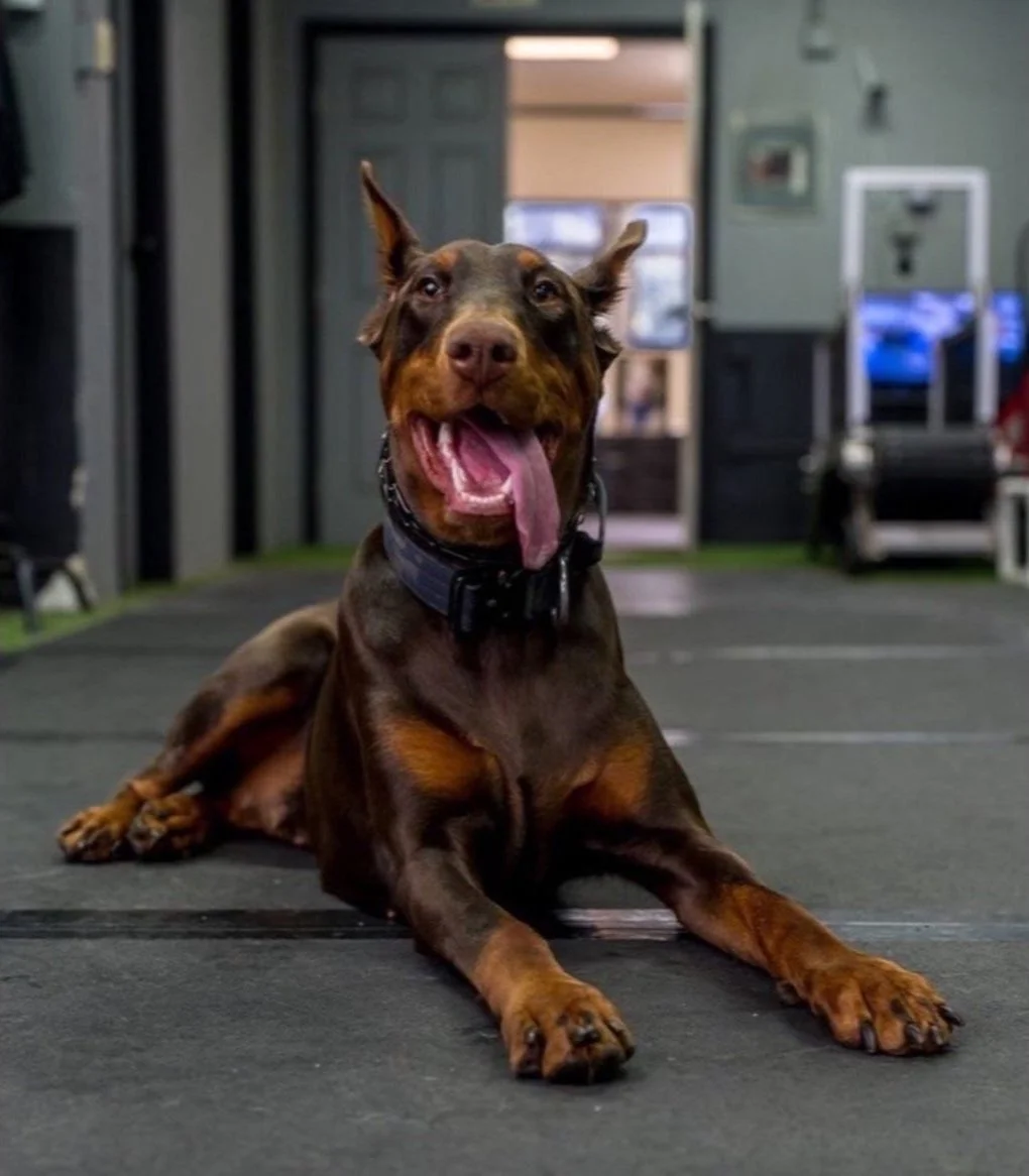 Screenshot 2023-11-28 at 12.45.33 AM.jpg