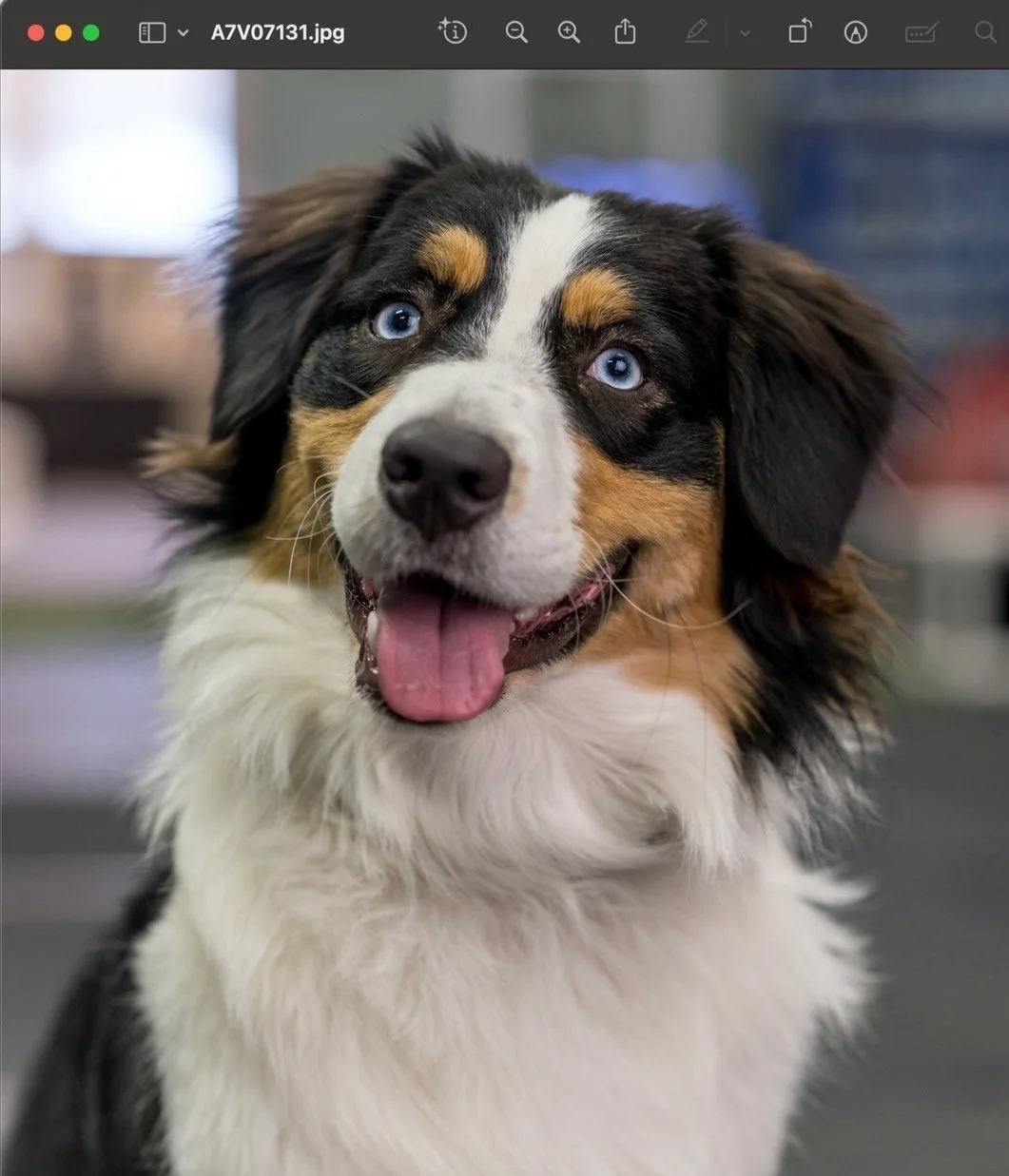 Screenshot 2023-11-30 at 6.33.58 AM.jpg