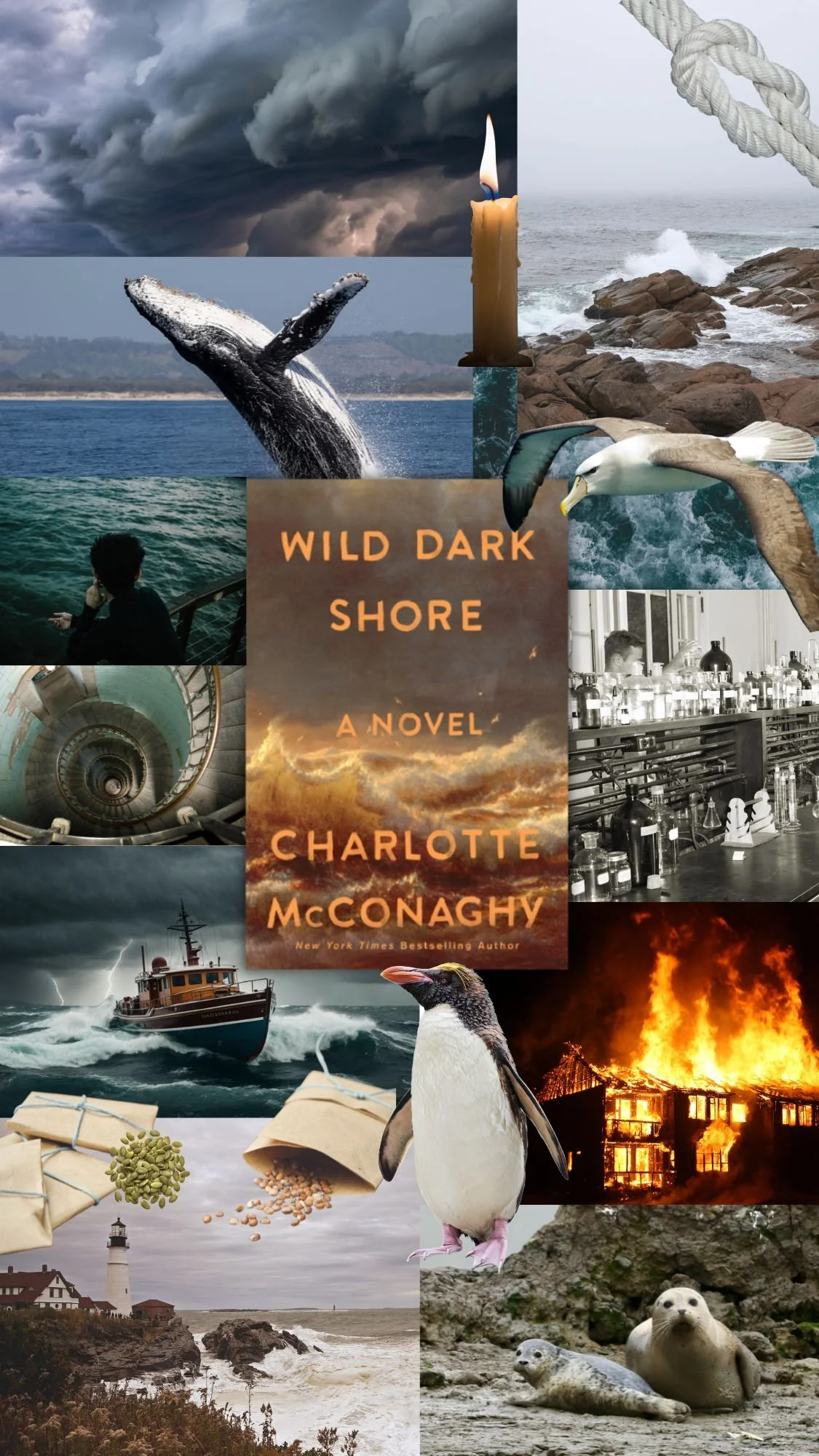 Wild Dark Shore: a book by Charlotte McConaghy 