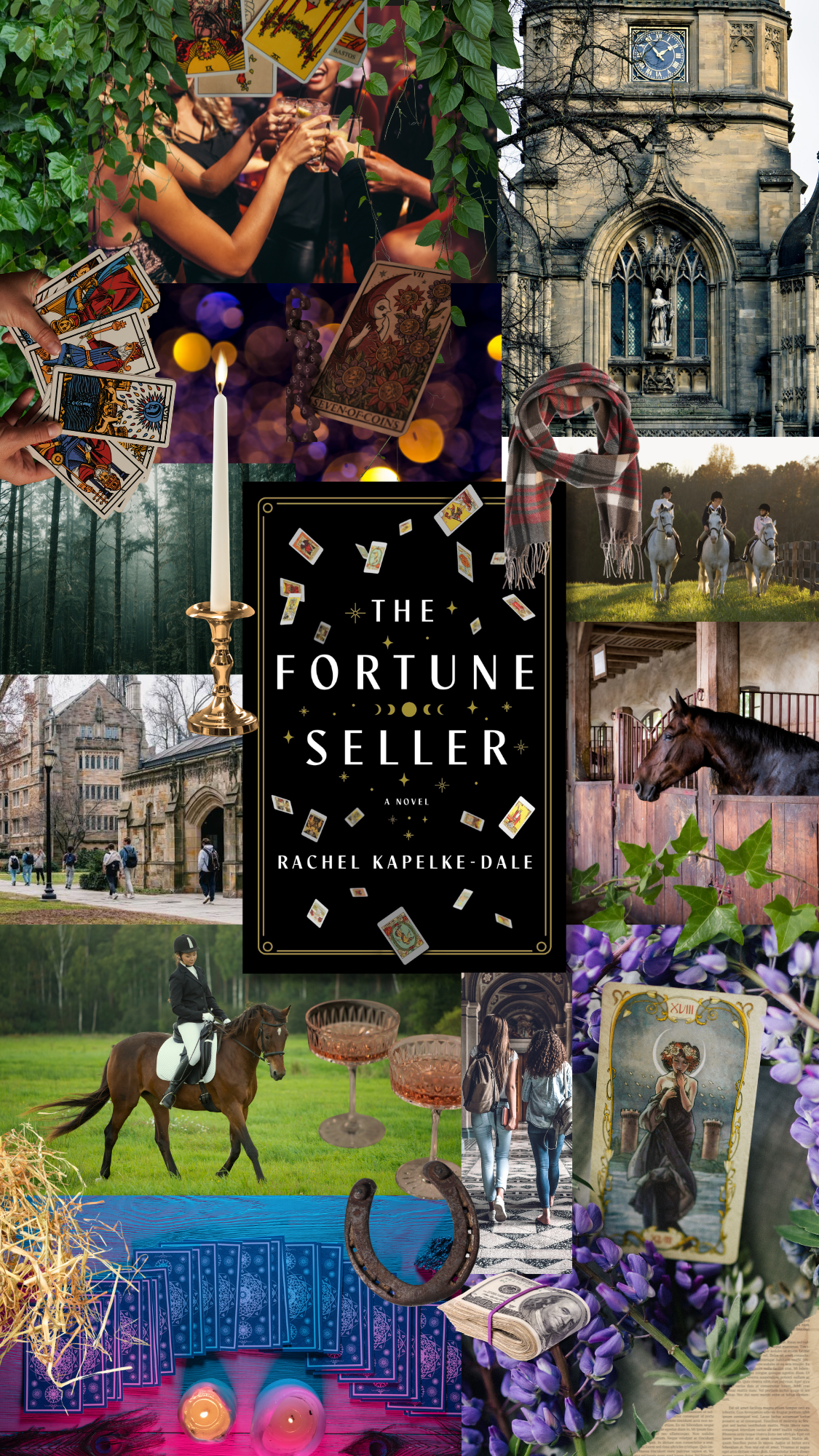The Fortune Seller: a book by Rachel Kapelke-Dale