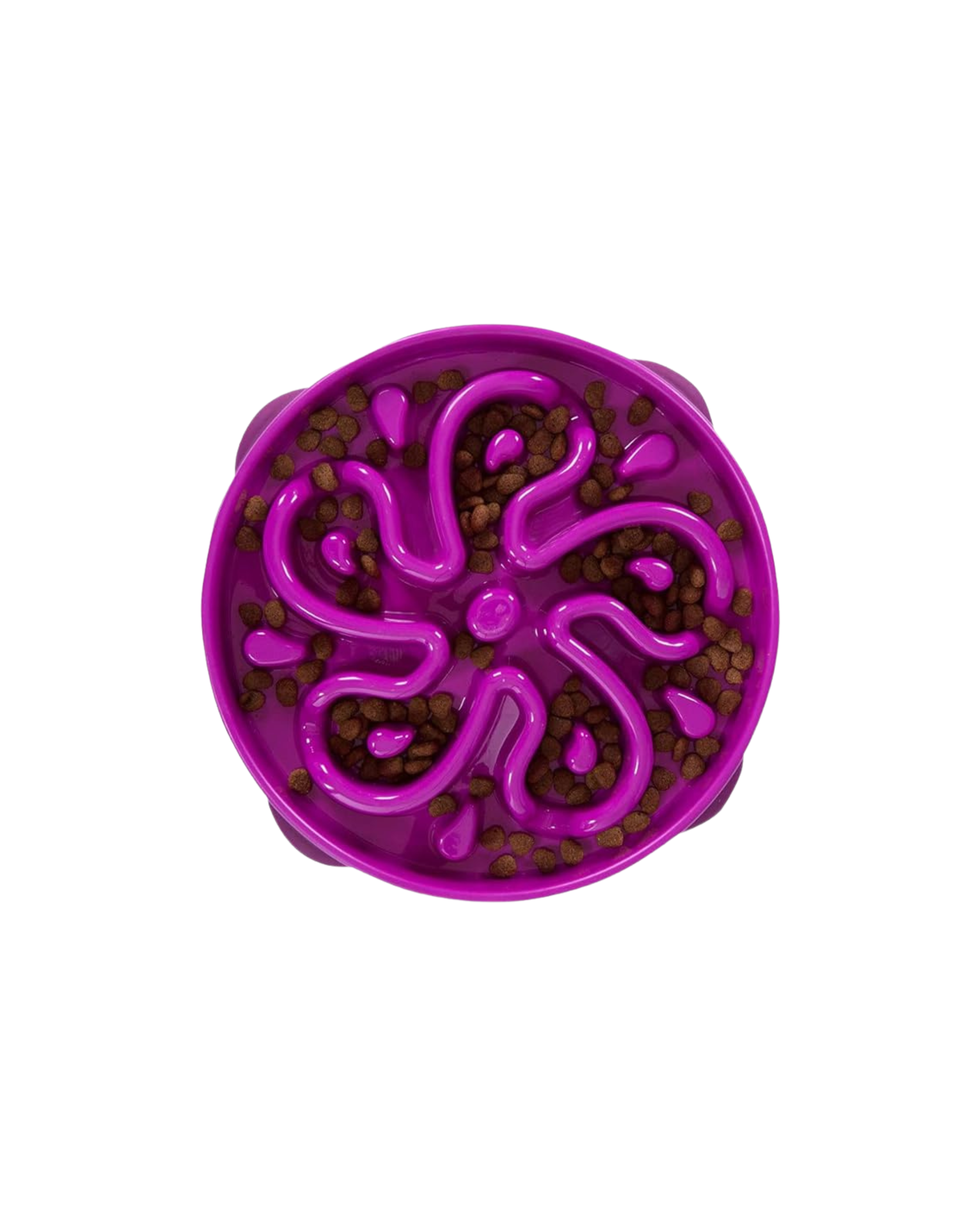 Slow Feeder Dog Bowl in Purple
