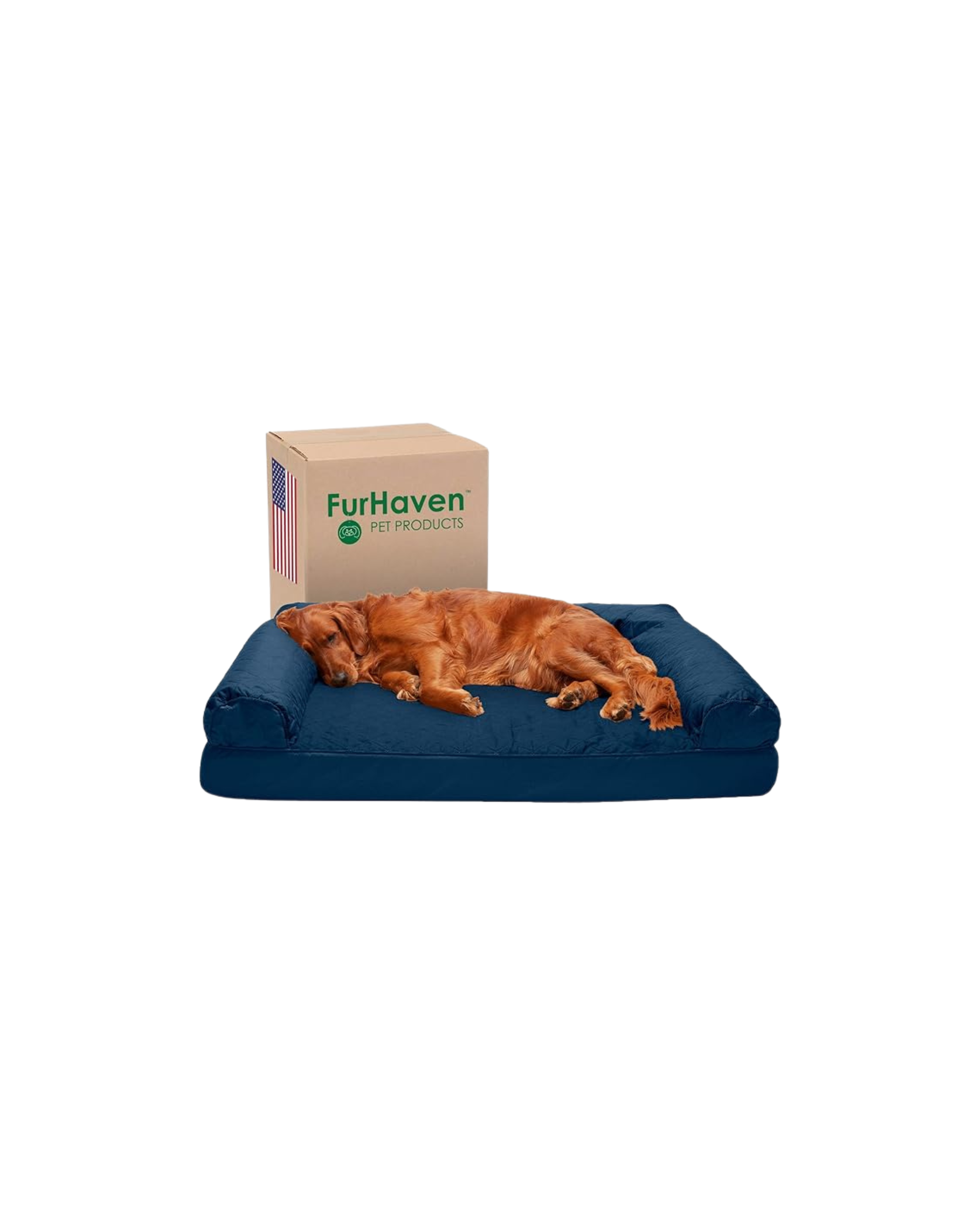 Orthopedic Dog Bed
