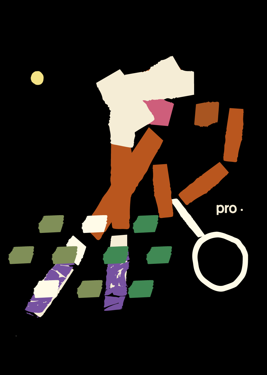 pro.png