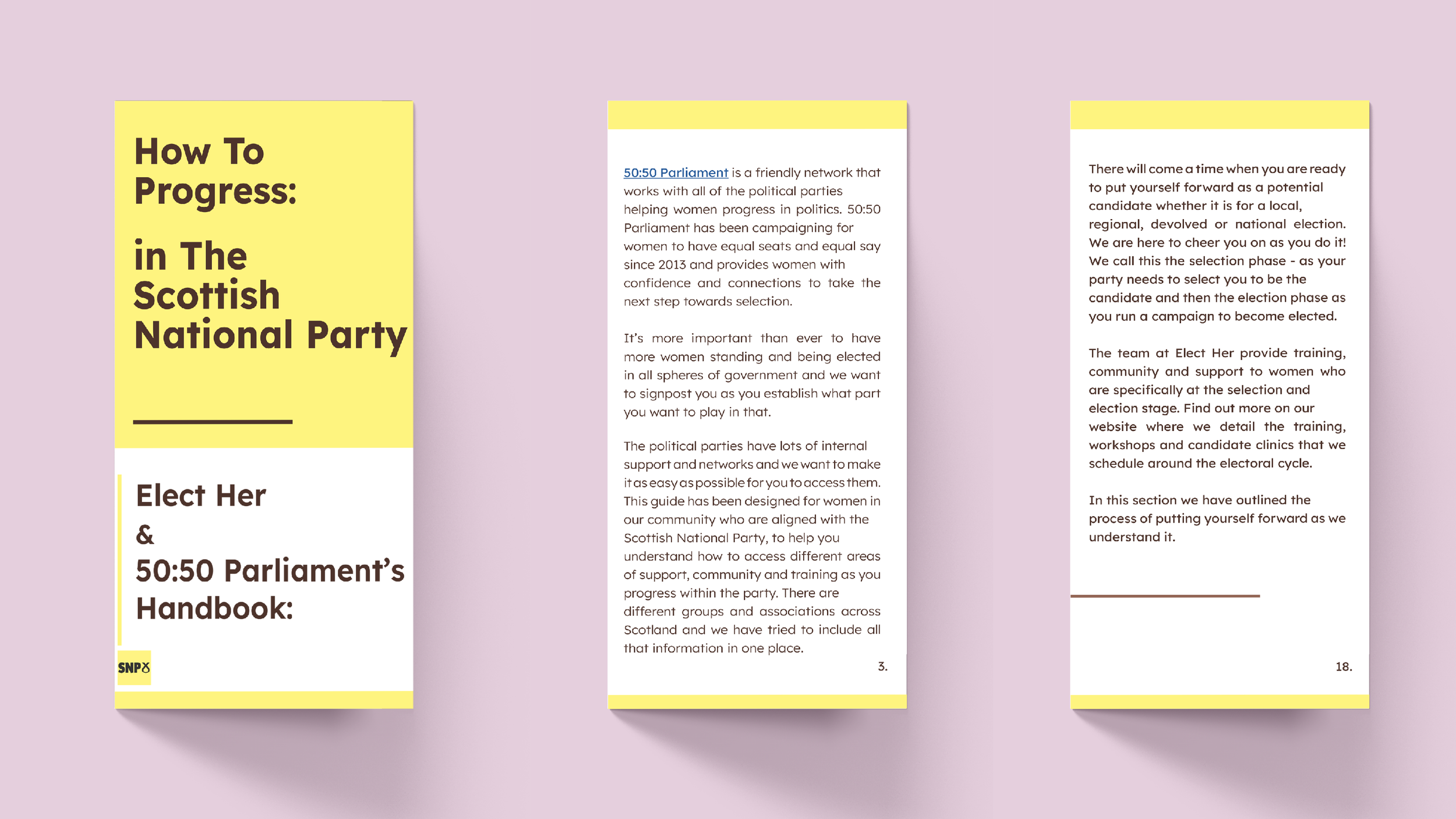 party guide HBs4.png