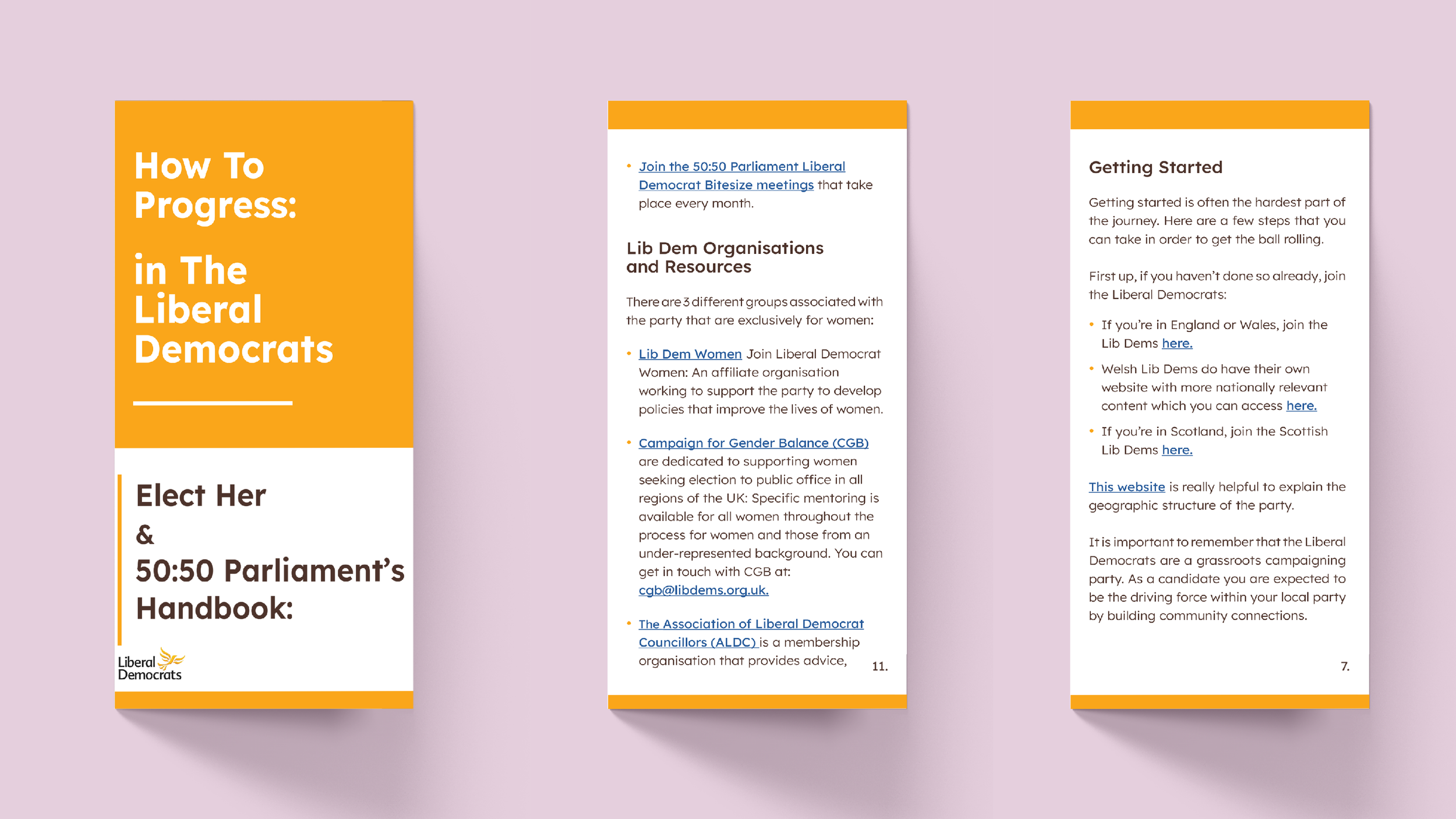 party guide HBs8.png