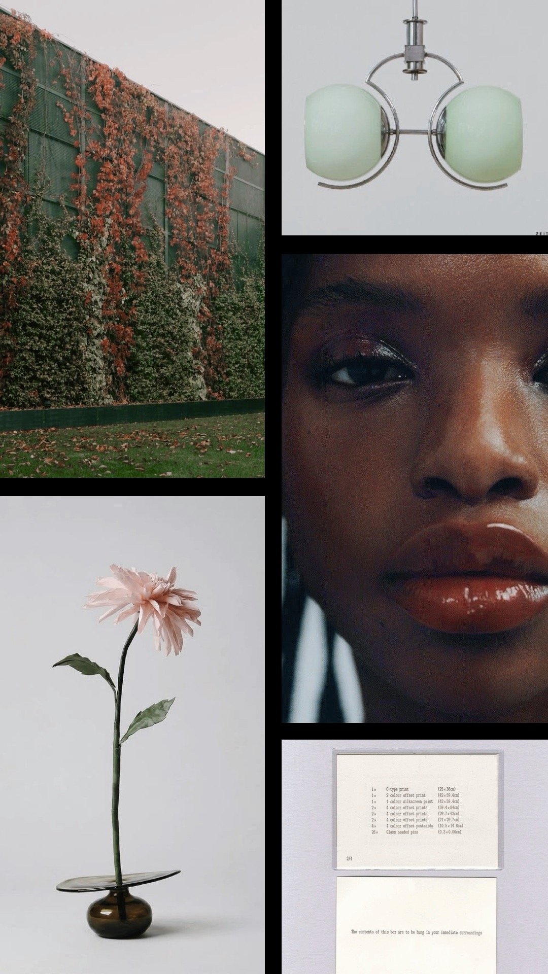 page0_VSCO 4.JPG