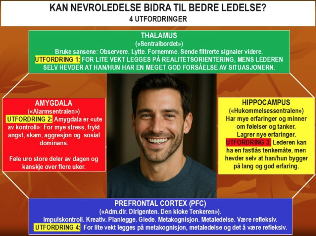 Hva kan vi lære av hvordan hjernen fungerer?