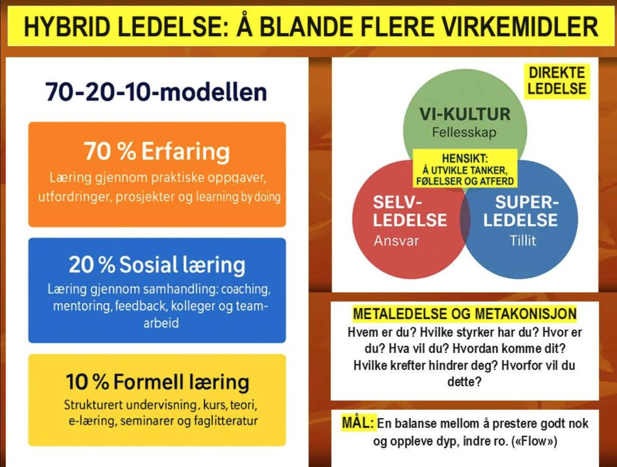 Ledelse og ledertrening , en hybrid tilnærming