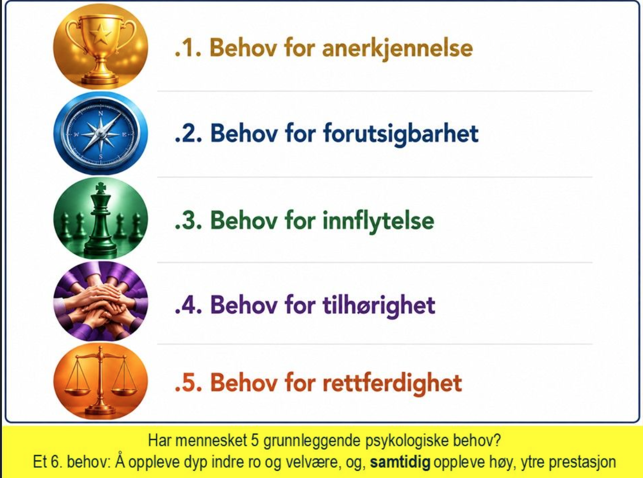 Seks grunnleggende behov i arbeidslivet