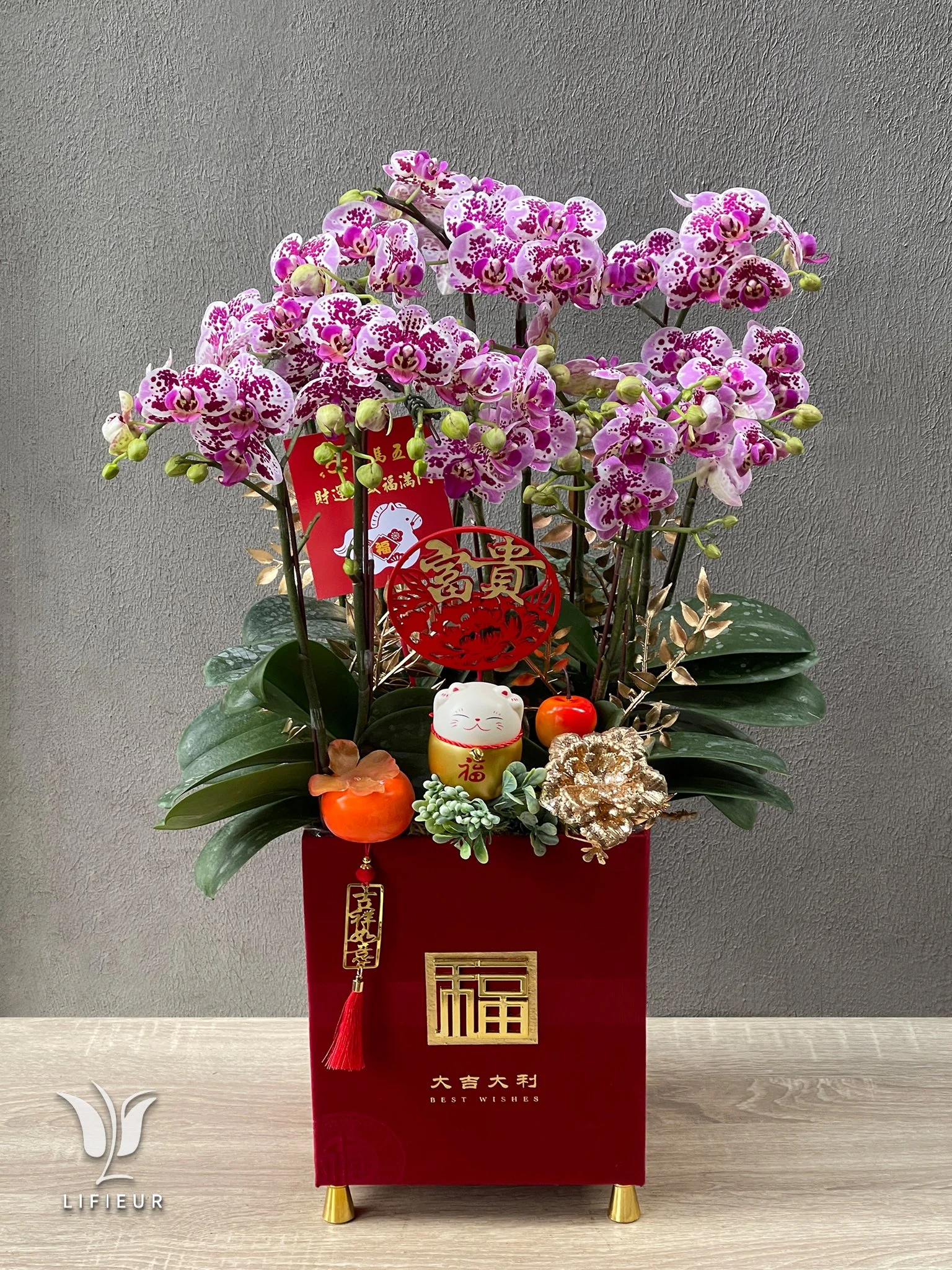 新年蝴蝶蘭花禮