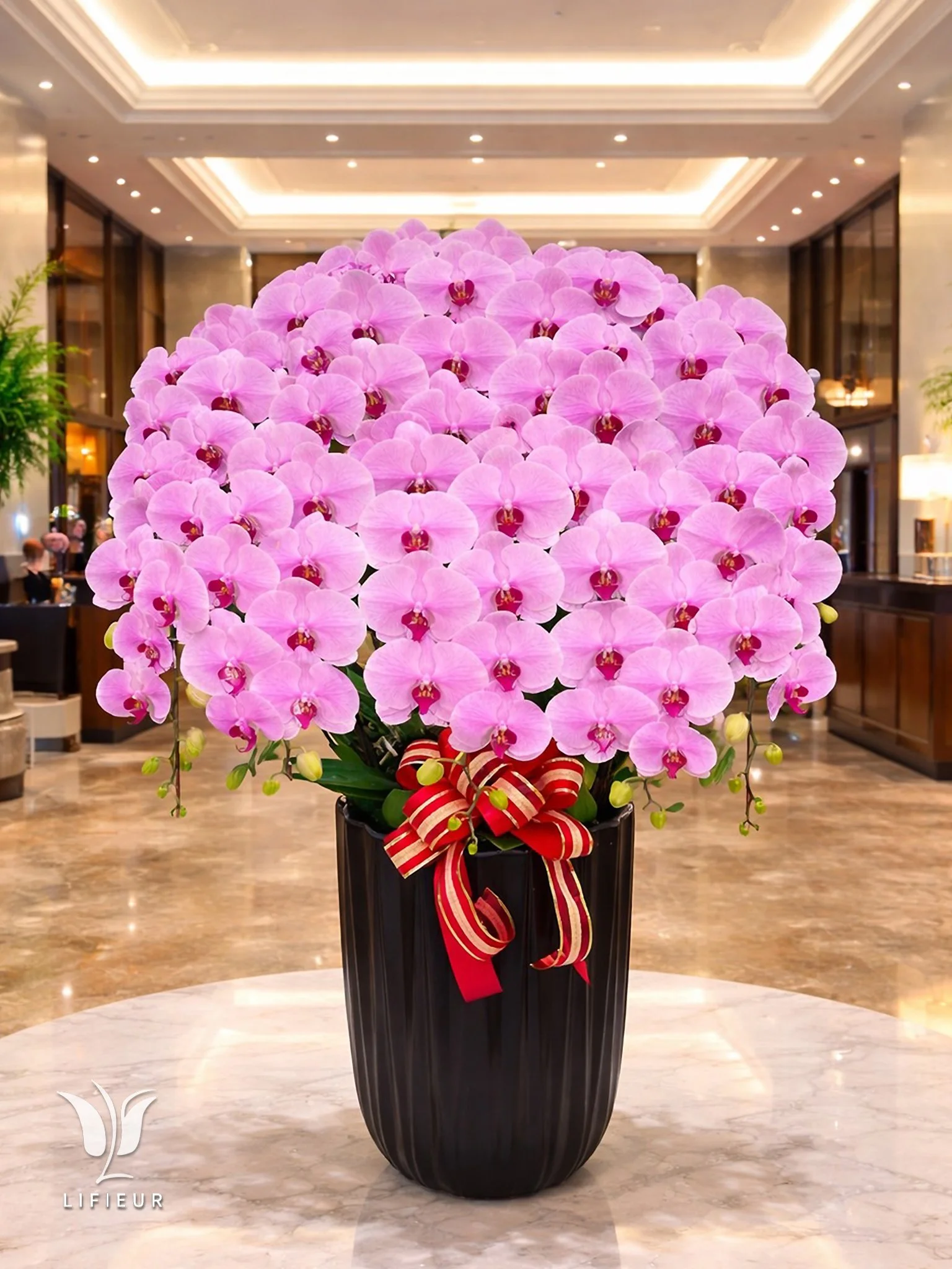 新年蝴蝶蘭花禮