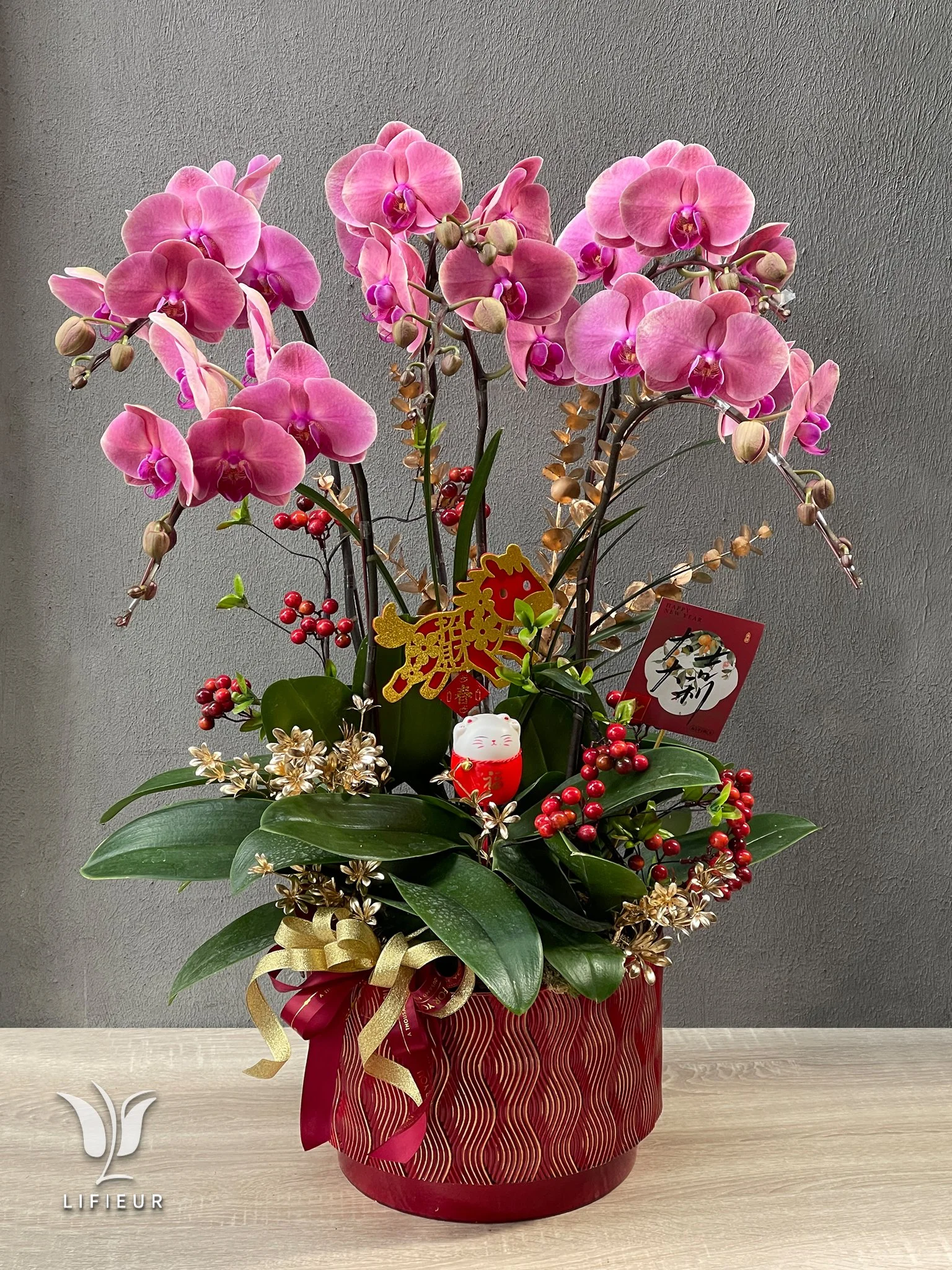 新年蝴蝶蘭花禮