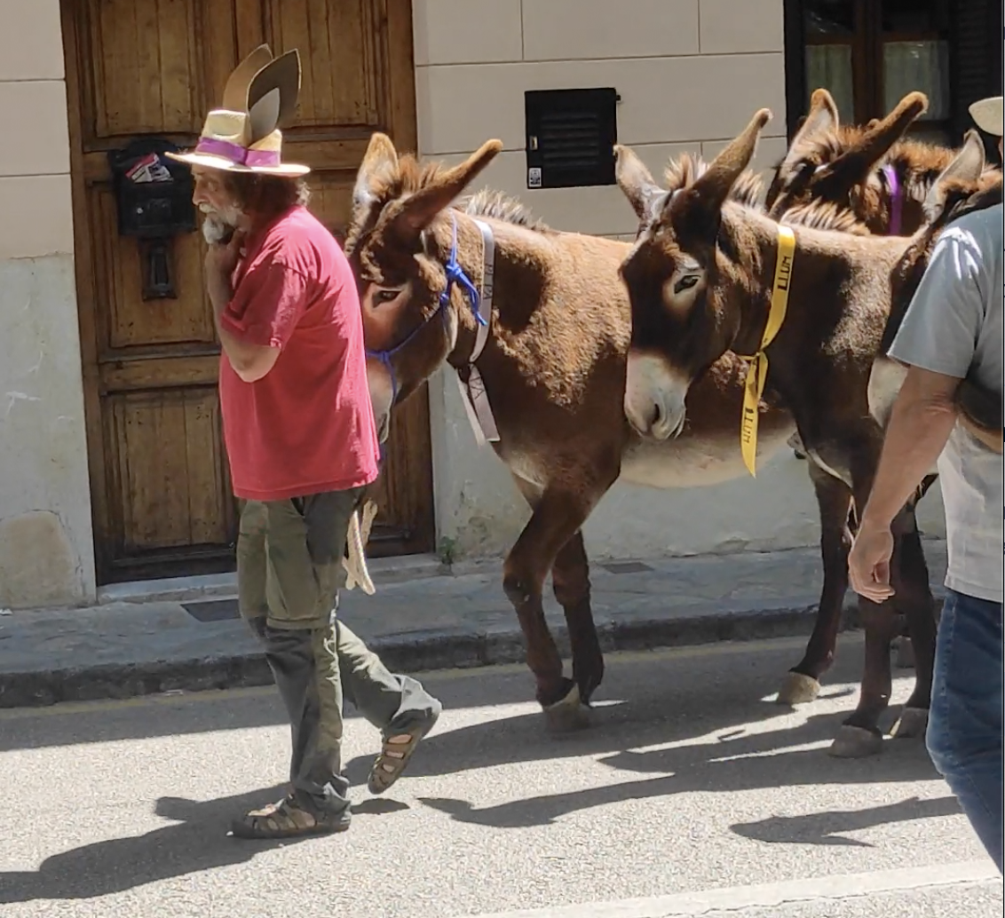 Ein besonderes Fest in Esporles