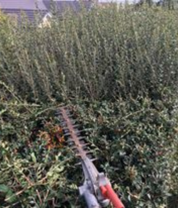 Hedge cutting.png