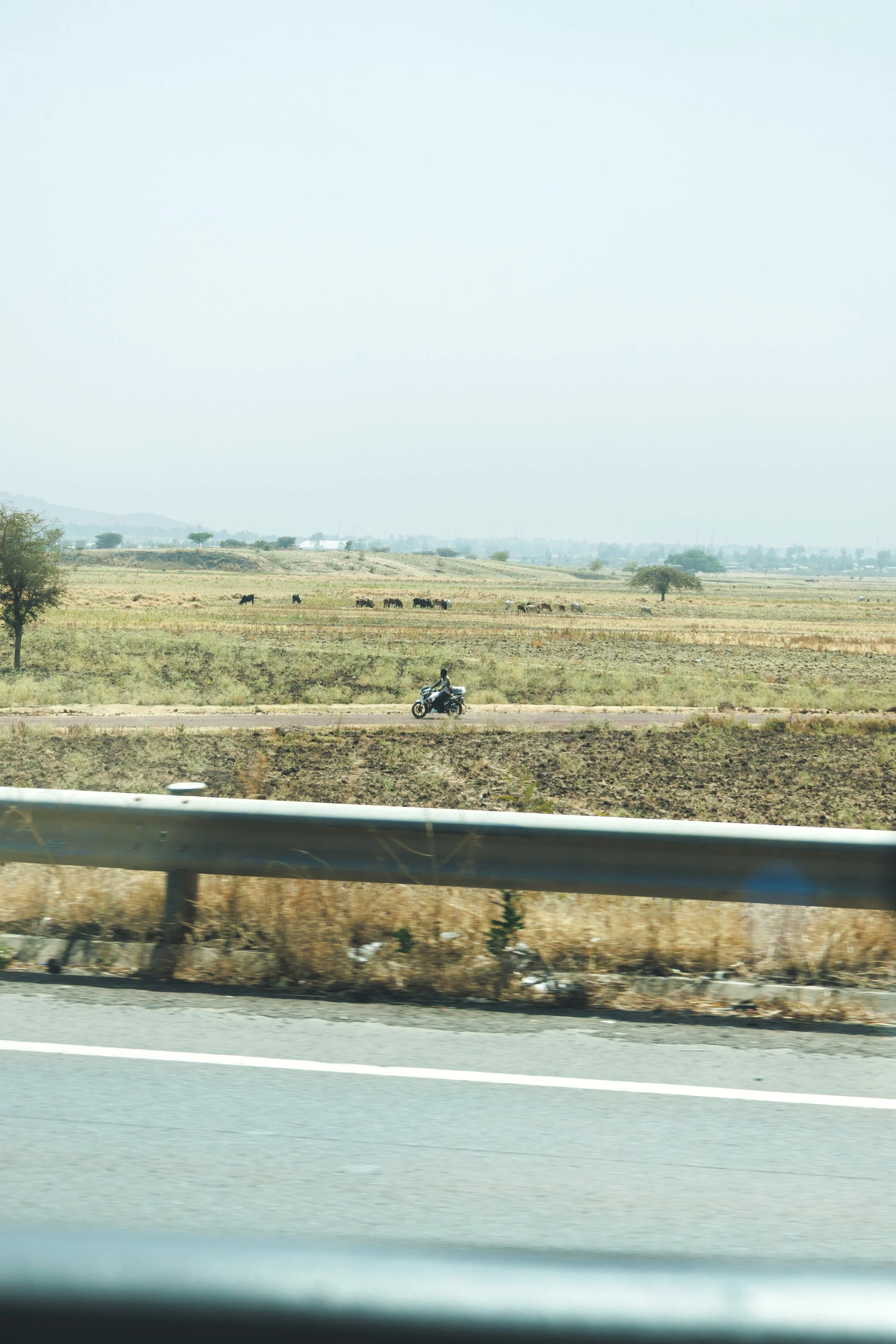 TLM Ethiopia Feb 2026 - ©Mike Eriksson - instagram - @content_by_me-8716.jpg