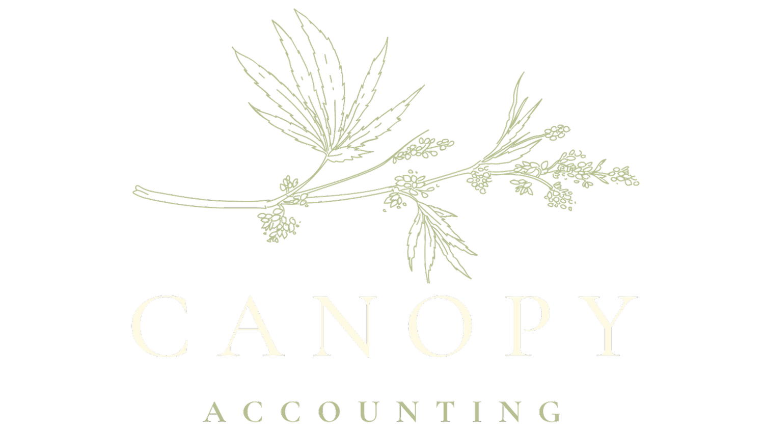 Canopy Accounting