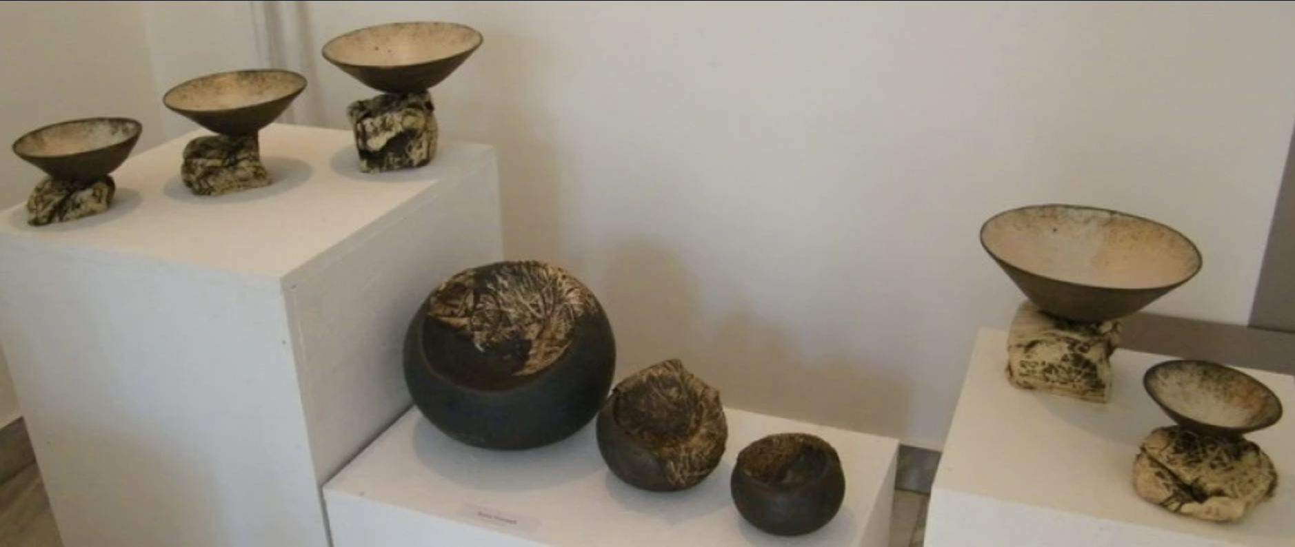 Stoneware Serenade | Nature's Whisper in Clay | Stoneware