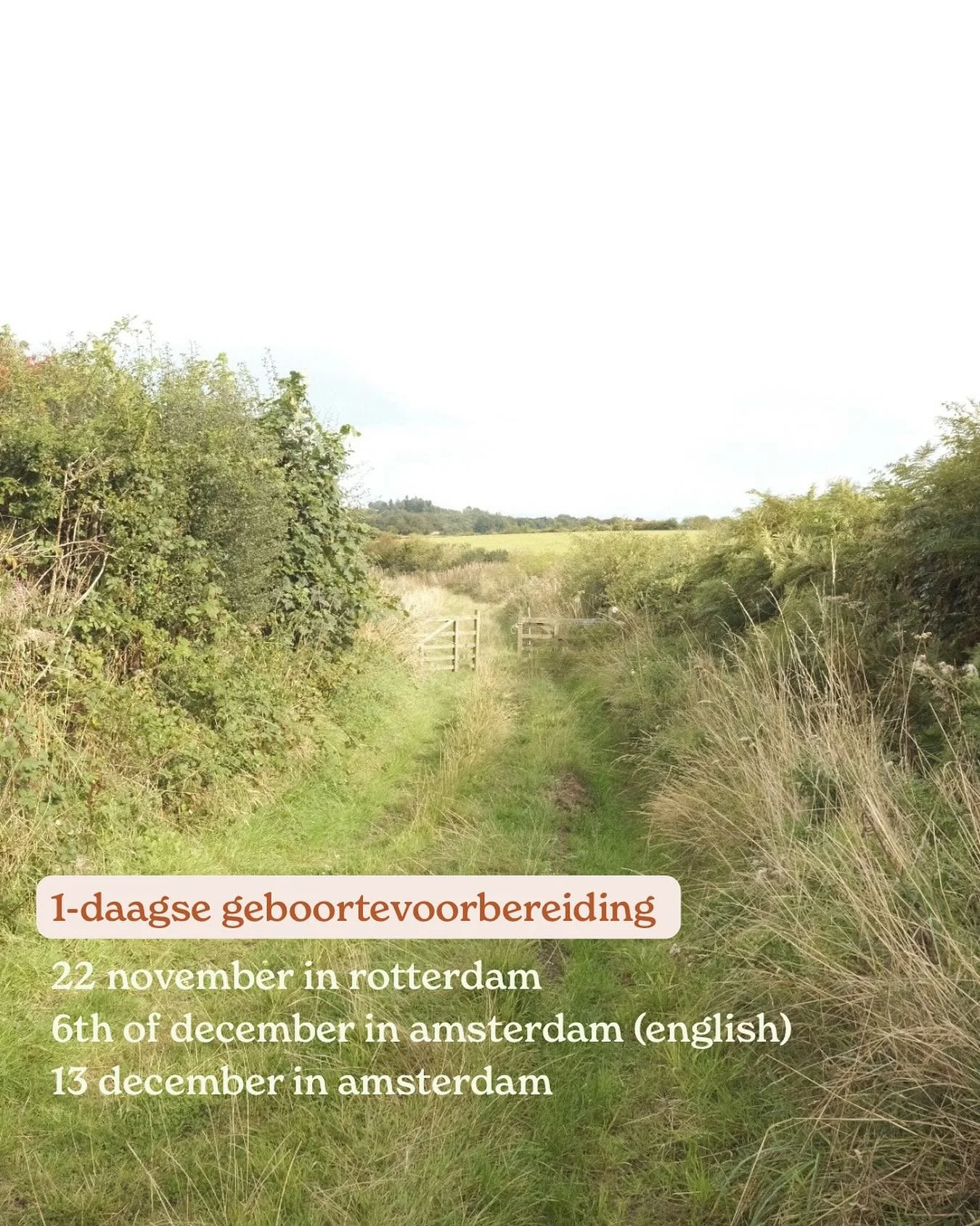 leuk! de aanmeldingen komen binnen! dit is het aanbod voor de komende periode. wil je zeker zijn van een plekje? meld je snel aan. meer info via de link in bio ✨