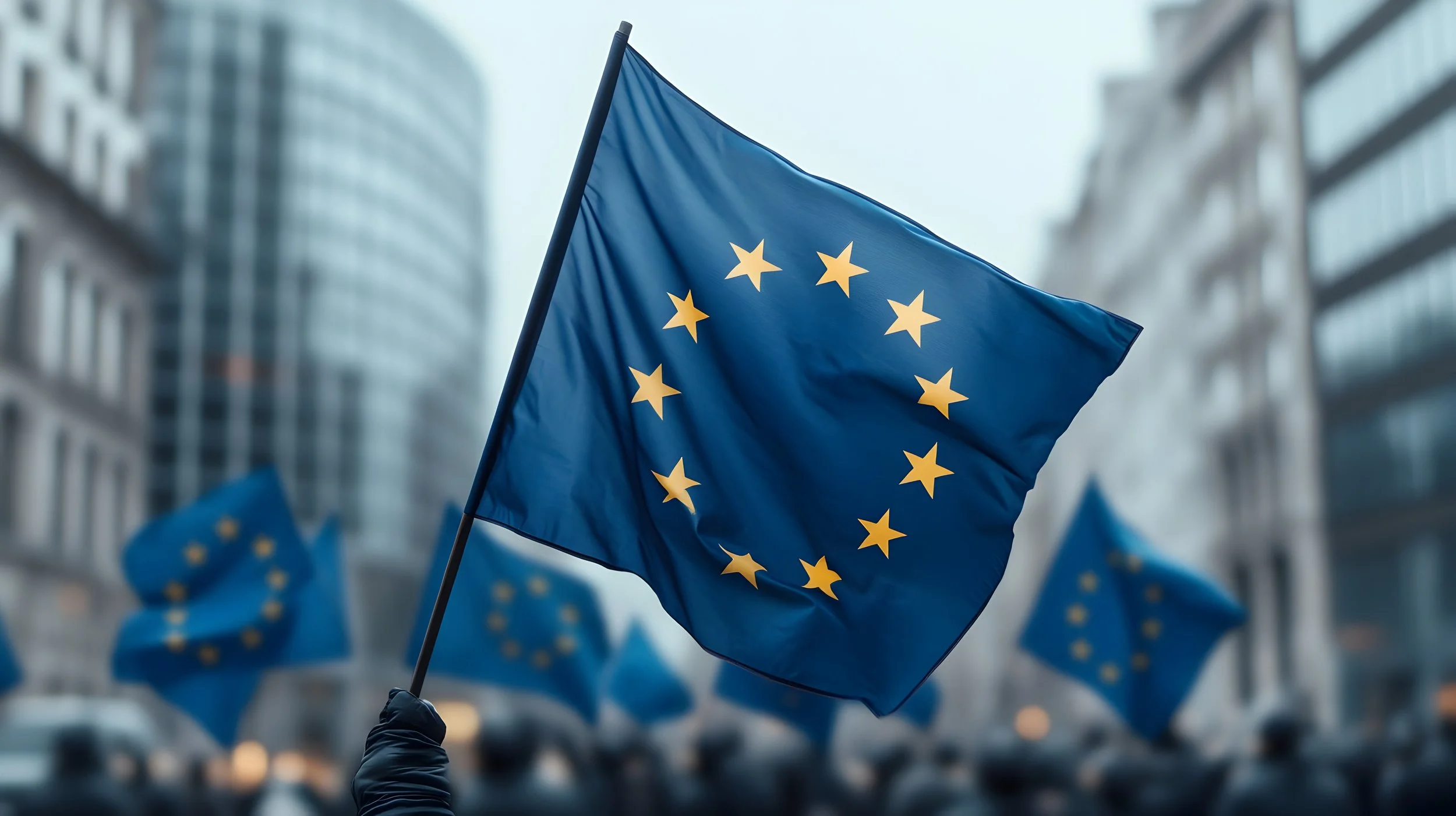 Call to Action: Establishing an EU Directive on the Protection and Mobility of Human Rights Defenders