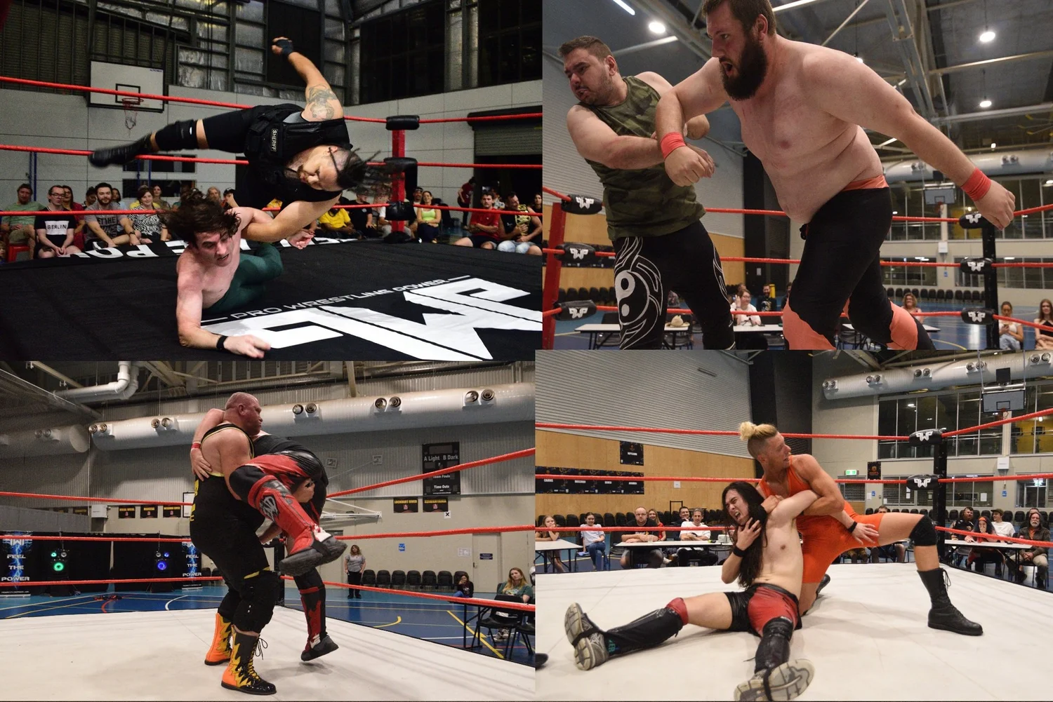 Pro Wrestling Power