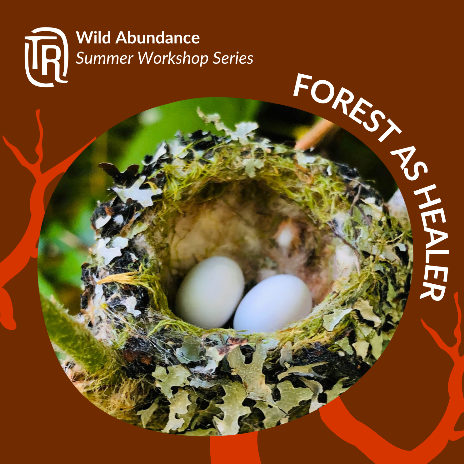 Forest As Healer (Wild Abundance - Summer Workshop Series)
