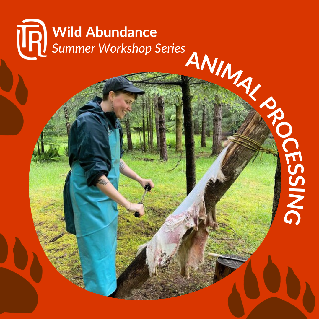 Wild Abundance Graphics (1).png