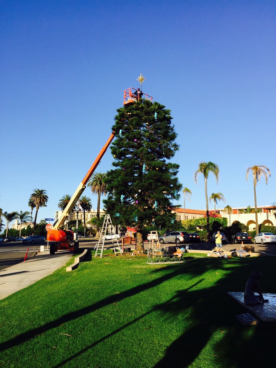 GEORGE DEWHURST PLANTED THE ORIGINAL LA JOLLA CHRISTMAS TREE IN 1983, AND GDC HAS DECORATED IT EVERY YEAR SINCE.