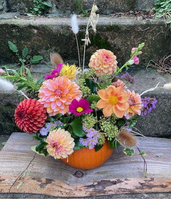 pumpkin small  - Copy.jpg